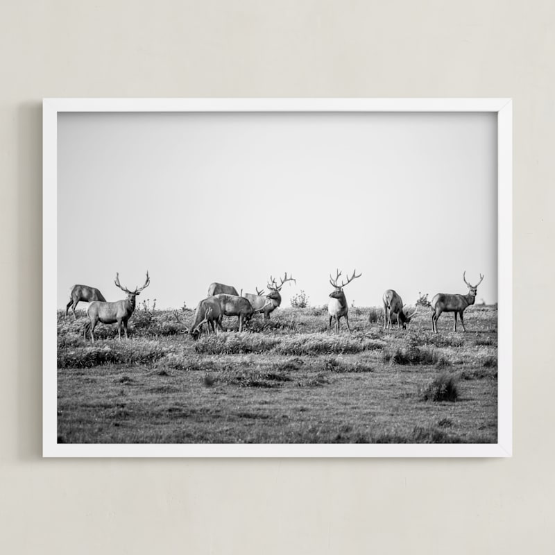 "tule elk" - Limited Edition Art Print by Crystal Lynn Collins in beautiful frame options and a variety of sizes.