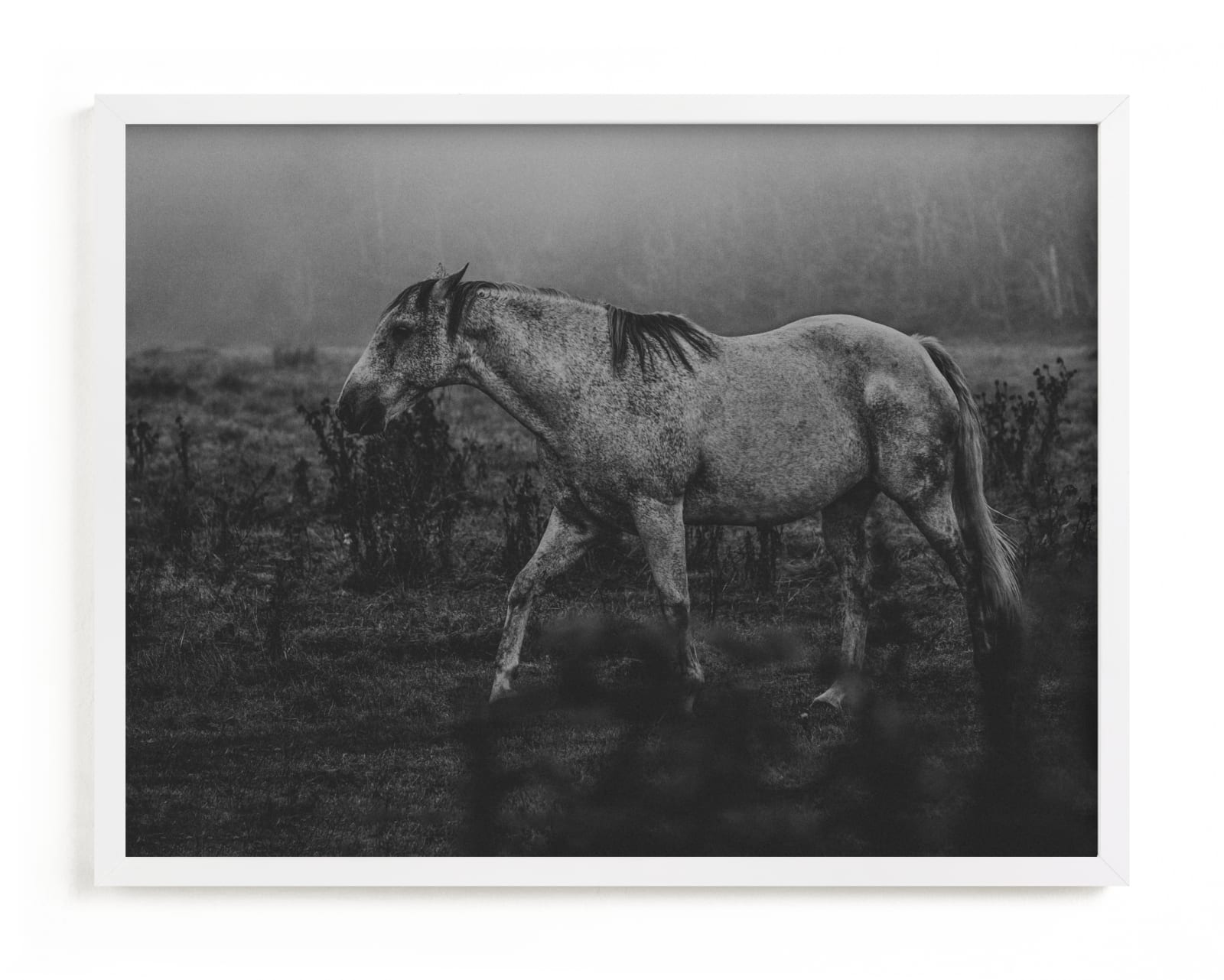"Frolicking Fille" - Limited Edition Art Print by Hollie Renner Photography in beautiful frame options and a variety of sizes.