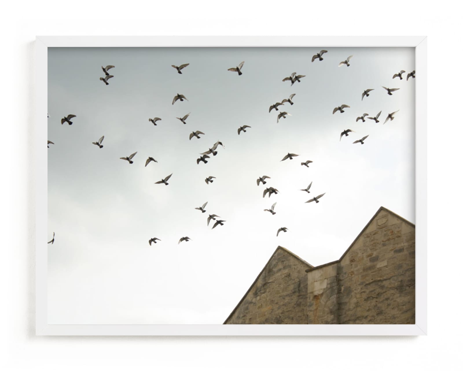 "Lost in Flight" - Limited Edition Art Print by Margaret Edith in beautiful frame options and a variety of sizes.