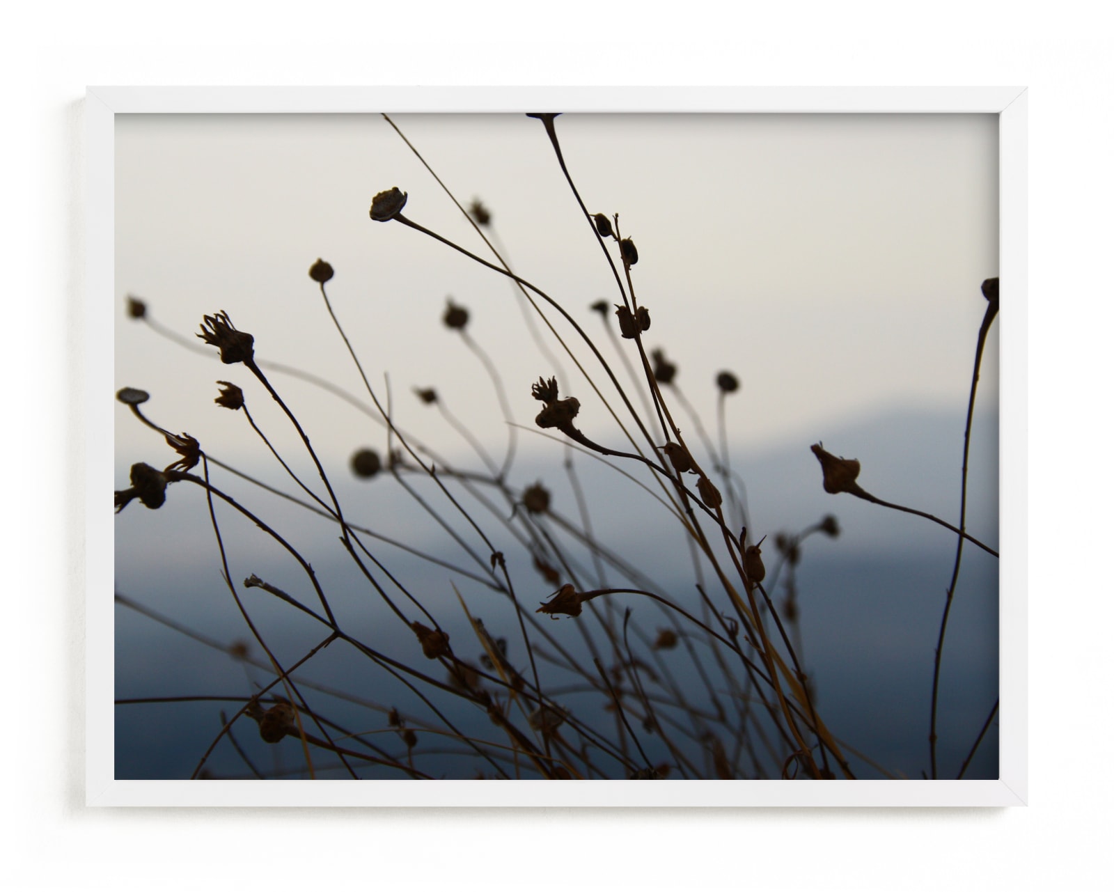 "Sway" - Limited Edition Art Print by lulu and isabelle in beautiful frame options and a variety of sizes.