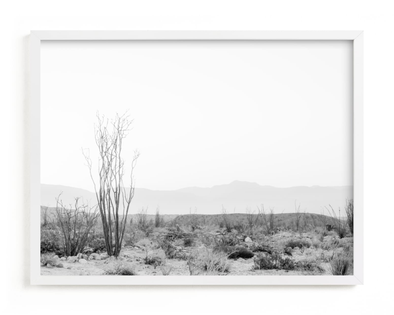 "Ocotillo II" - Limited Edition Art Print by Kamala Nahas in beautiful frame options and a variety of sizes.