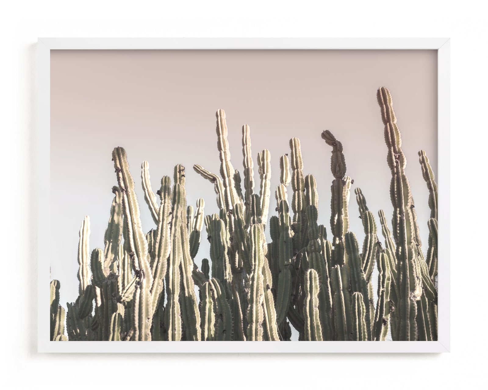 "Summer Cactus" - Limited Edition Art Print by Wilder California in beautiful frame options and a variety of sizes.