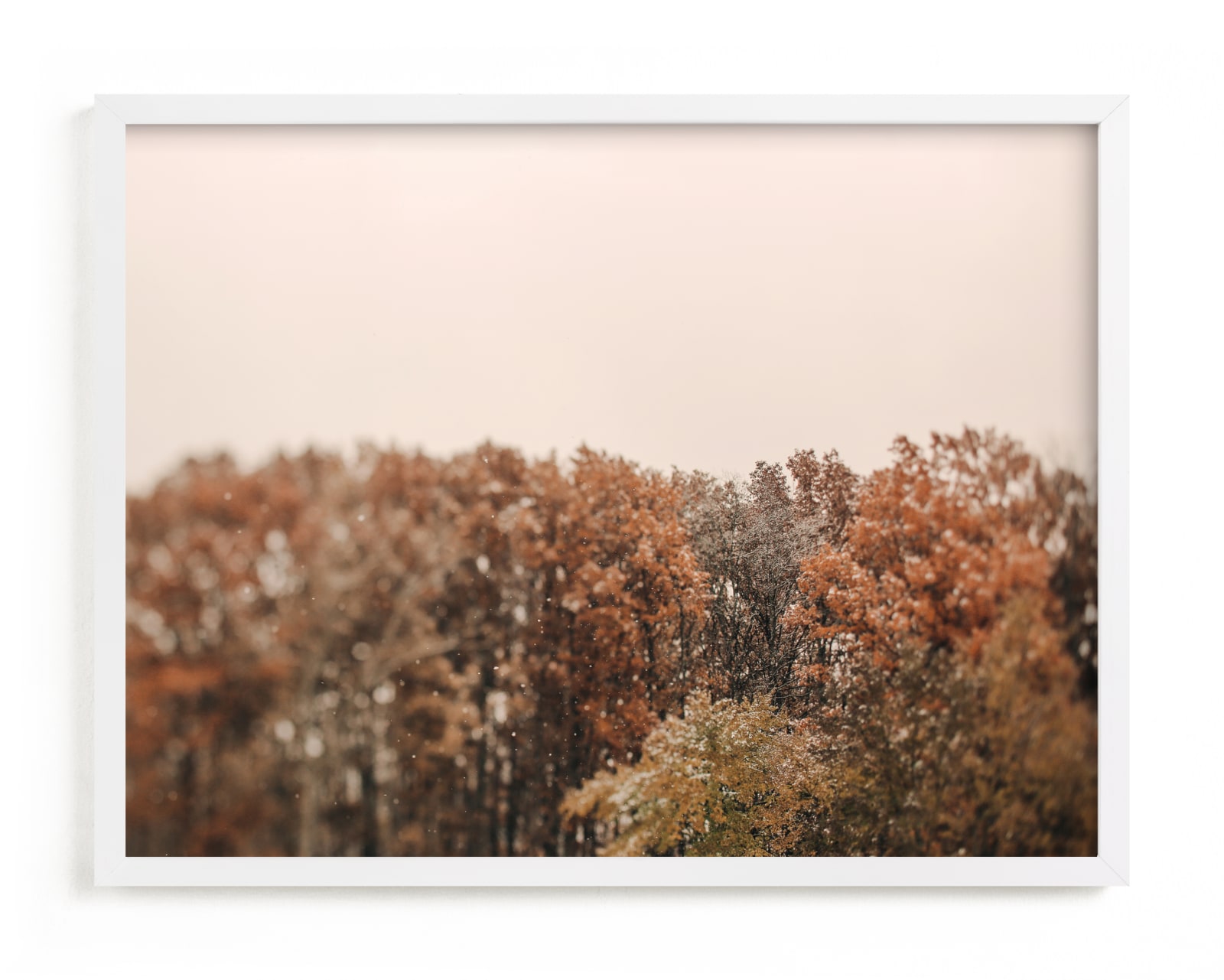 "Oak Leaves and Snowflakes" - Limited Edition Art Print by ALICIA BOCK in beautiful frame options and a variety of sizes.
