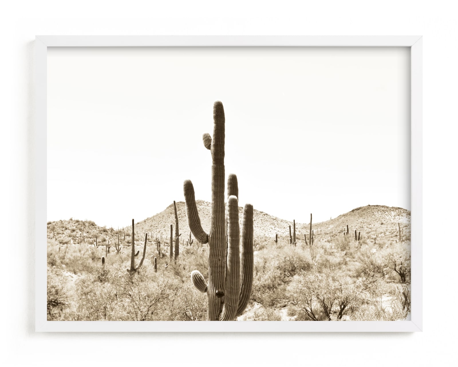 "Cacti V" - Limited Edition Art Print by Lisa Assenmacher in beautiful frame options and a variety of sizes.