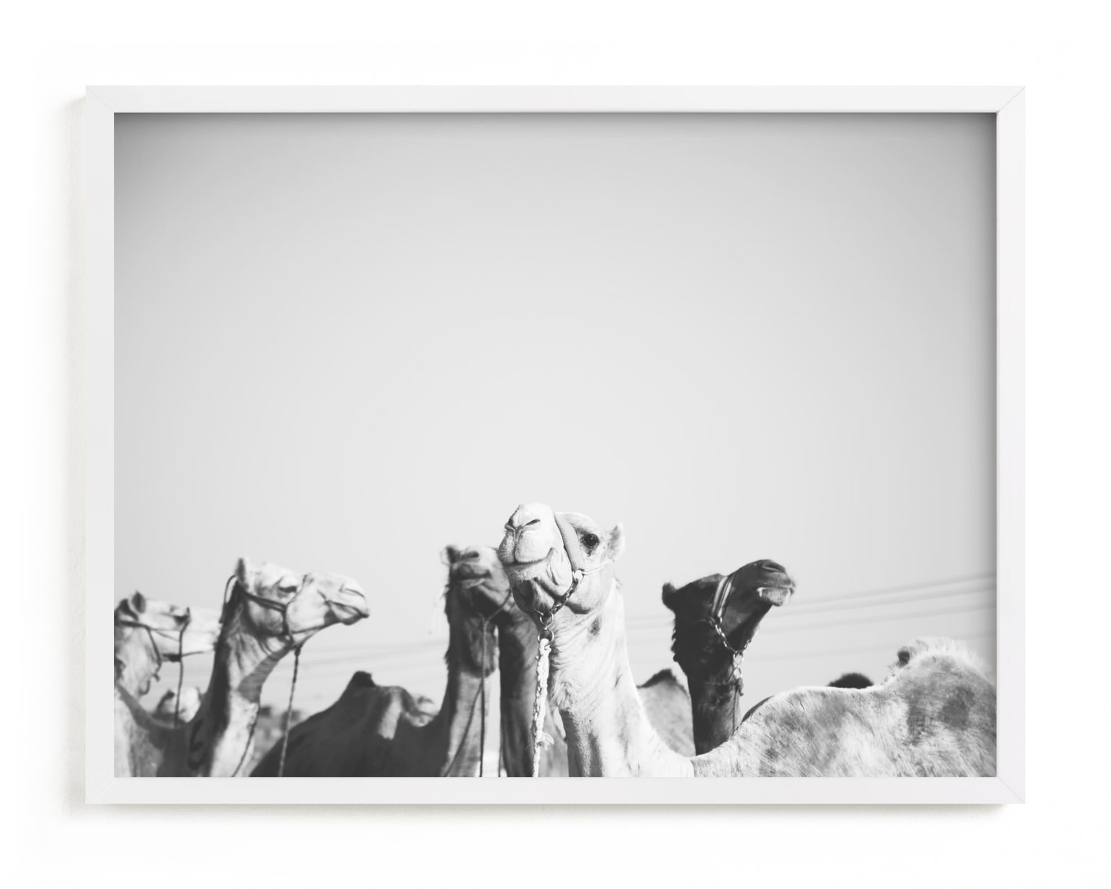 "Leader of the Pack" - Limited Edition Art Print by Heather Marie in beautiful frame options and a variety of sizes.