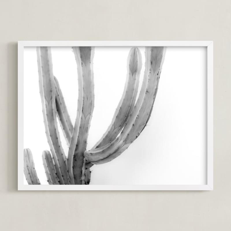 Moorten Cactus Study 2