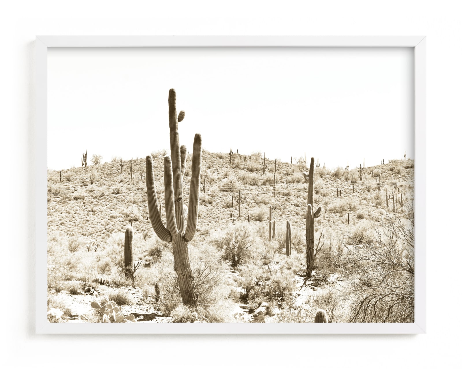 "Dusty Cacti" - Limited Edition Art Print by Lisa Assenmacher in beautiful frame options and a variety of sizes.