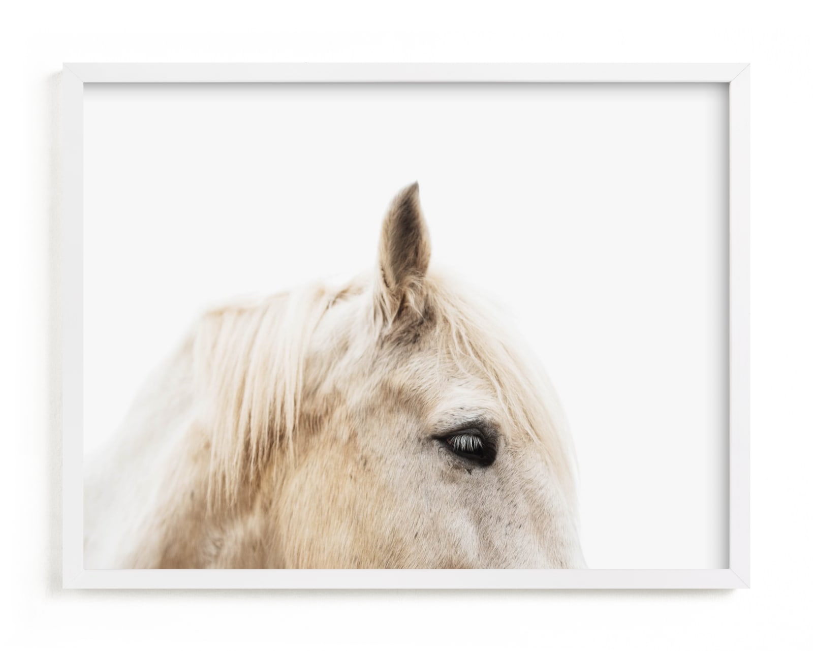 "Le Creme Cheval" - Limited Edition Art Print by Amy Carroll in beautiful frame options and a variety of sizes.