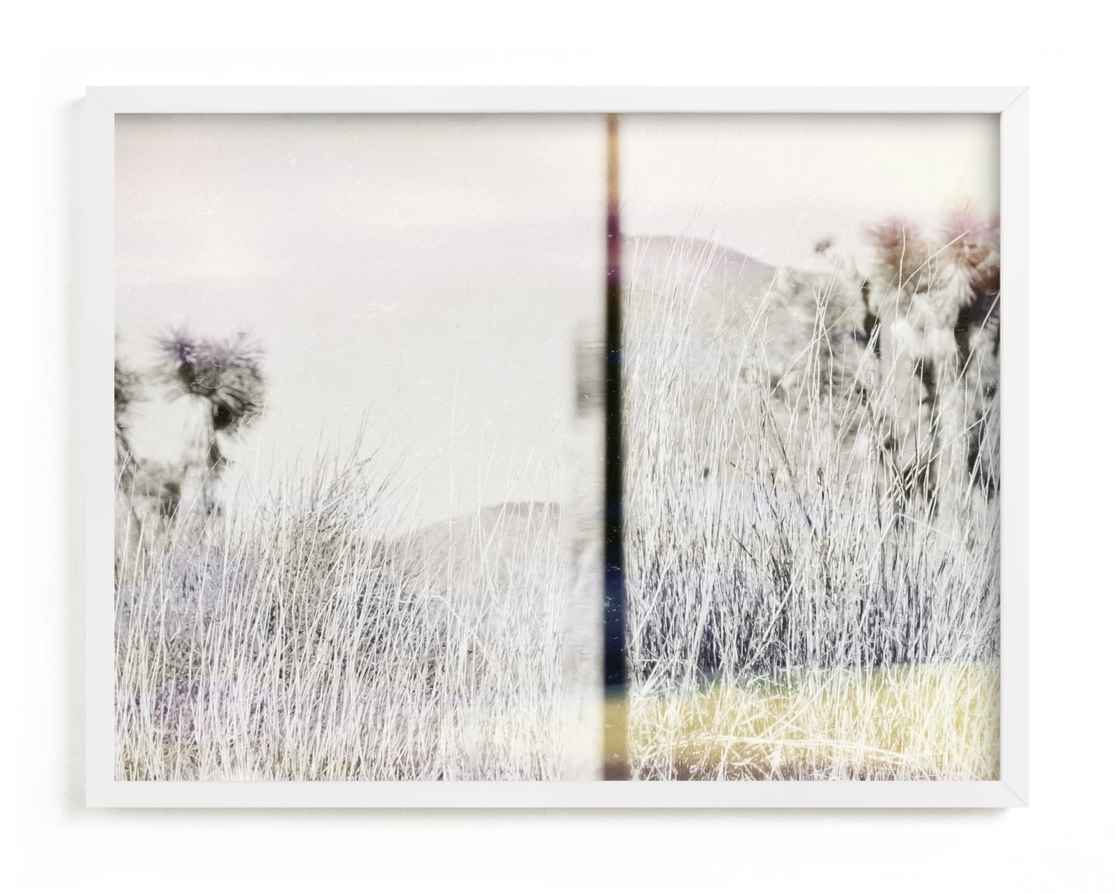 "Joshua Tree" - Limited Edition Art Print by Kaitlin Rebesco in beautiful frame options and a variety of sizes.