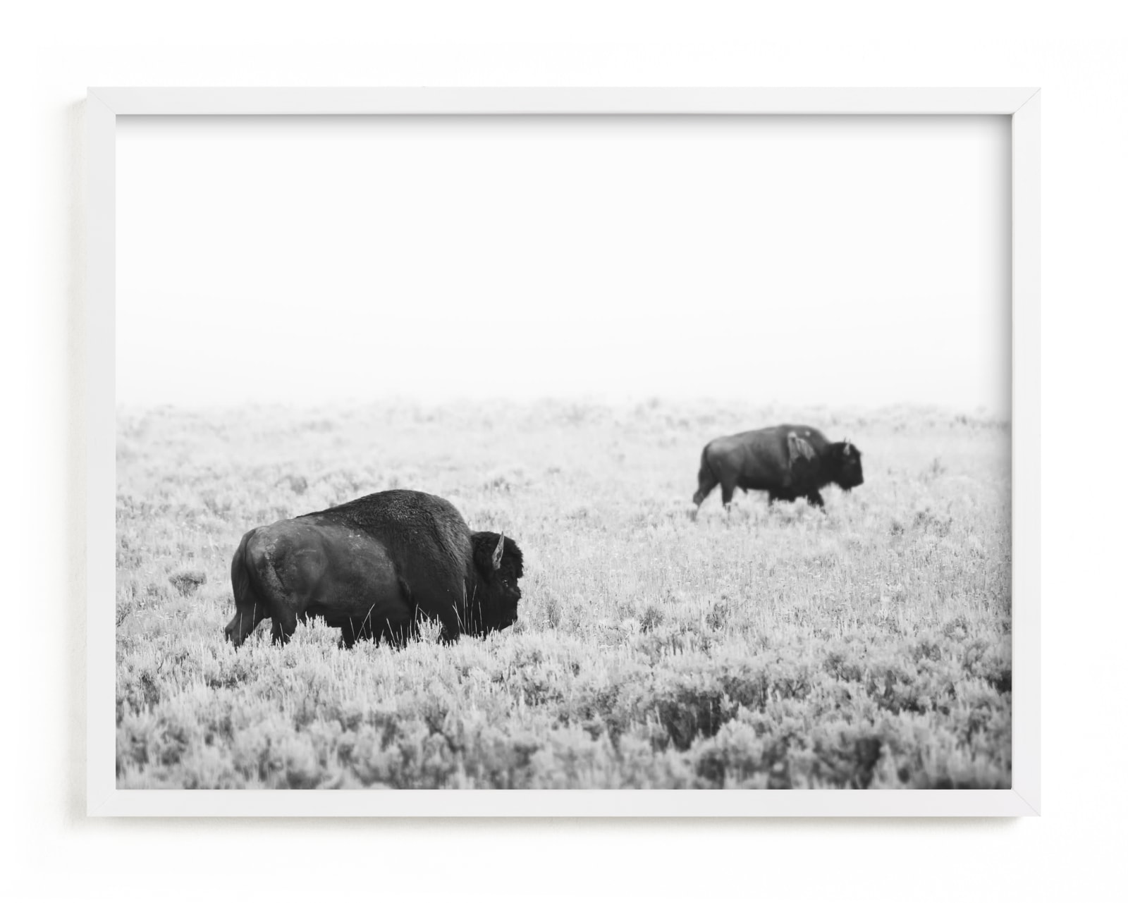 "Bison" - Limited Edition Art Print by Kamala Nahas in beautiful frame options and a variety of sizes.