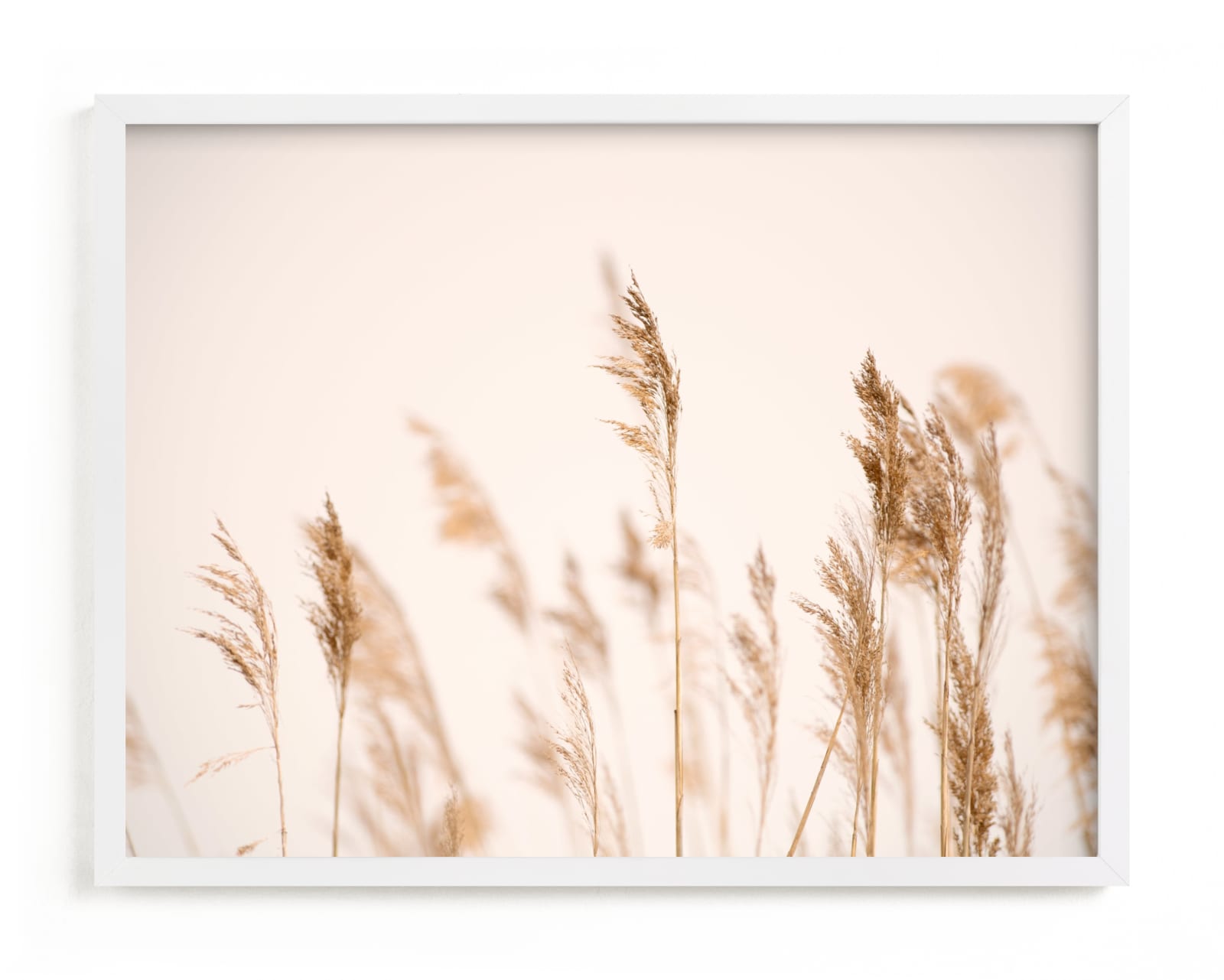 "summer weeds" - Open Edition Fine Art Print by Crystal Lynn Collins in beautiful frame options and a variety of sizes.