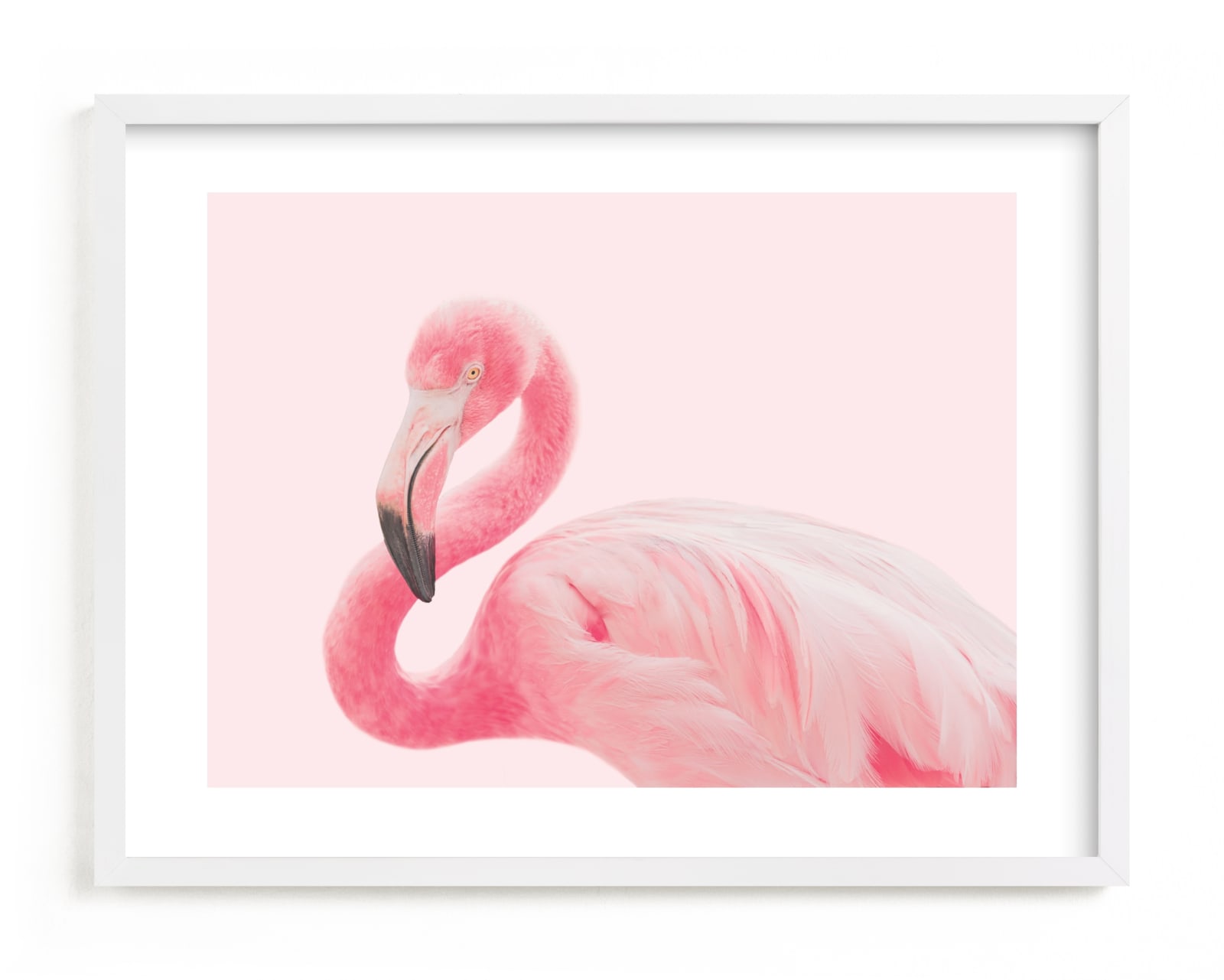 "Flamingo Portrait III" - Limited Edition Art Print by Rega in beautiful frame options and a variety of sizes.