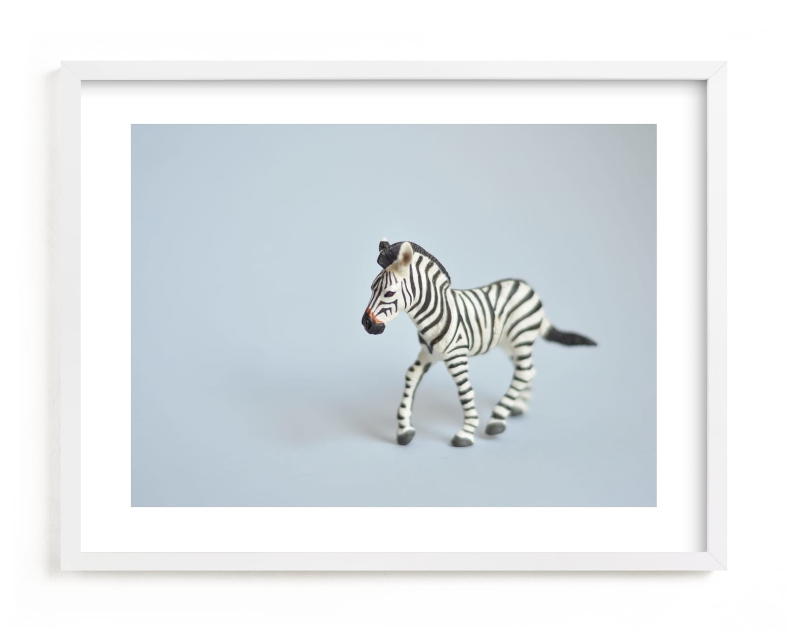 "Oh, Zebra" - Limited Edition Art Print by Kinga Subject in beautiful frame options and a variety of sizes.