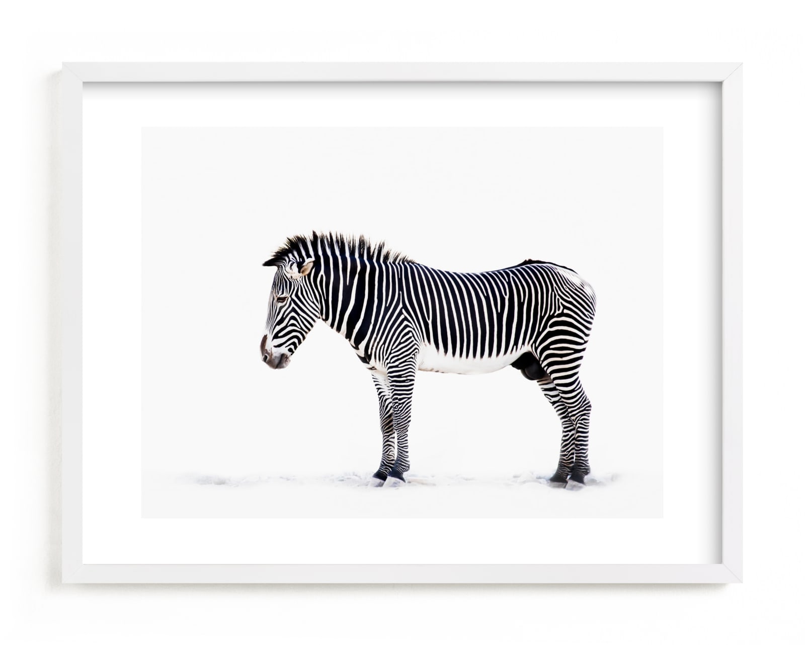 "Counting Stripes" - Limited Edition Art Print by Lisa Sundin in beautiful frame options and a variety of sizes.