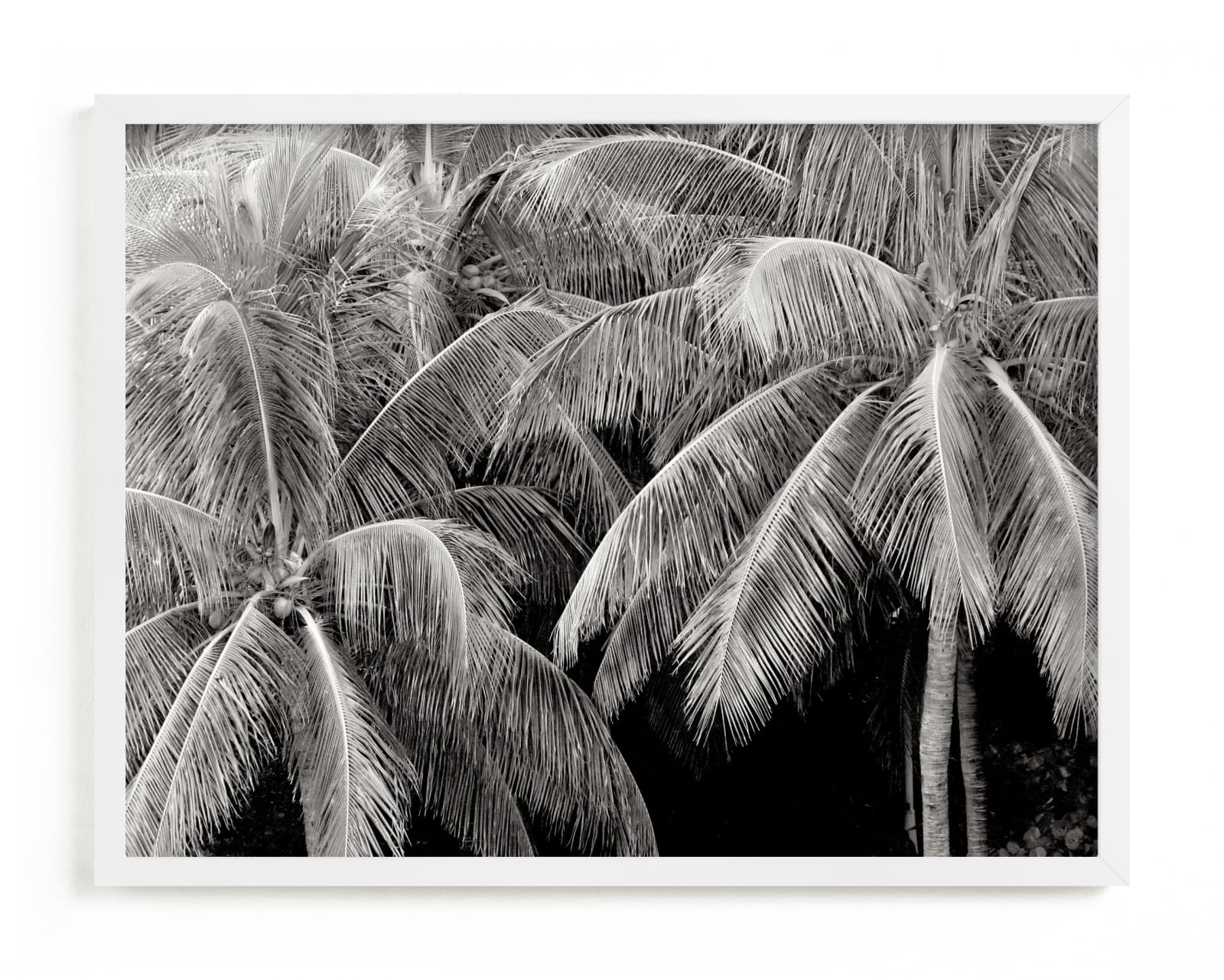 "Las Palmas" - Art Print by Jonathan Brooks in beautiful frame options and a variety of sizes.