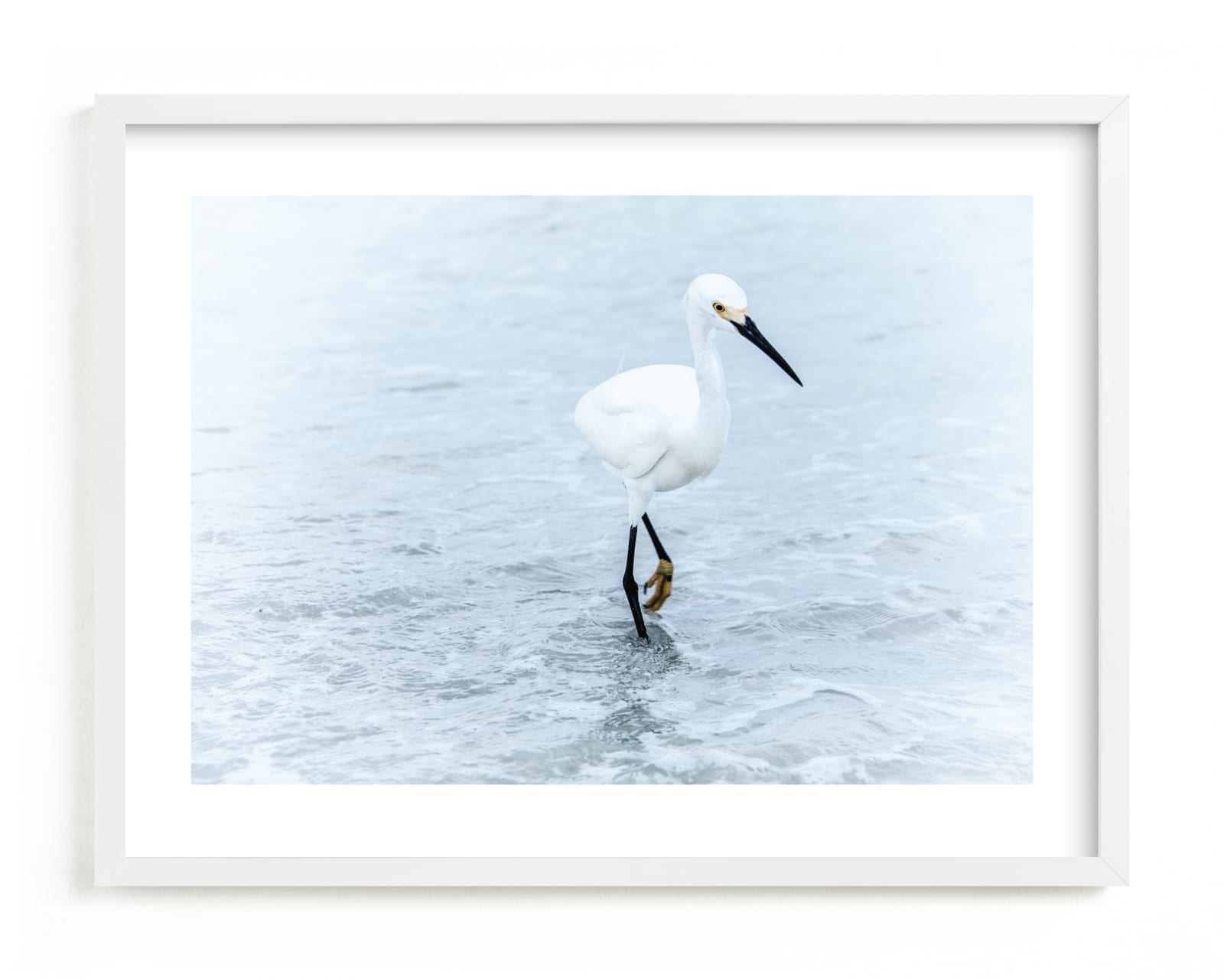 "Strutting Bird on the Beach" - Art Print by Mary Ann Glynn-Tusa in beautiful frame options and a variety of sizes.