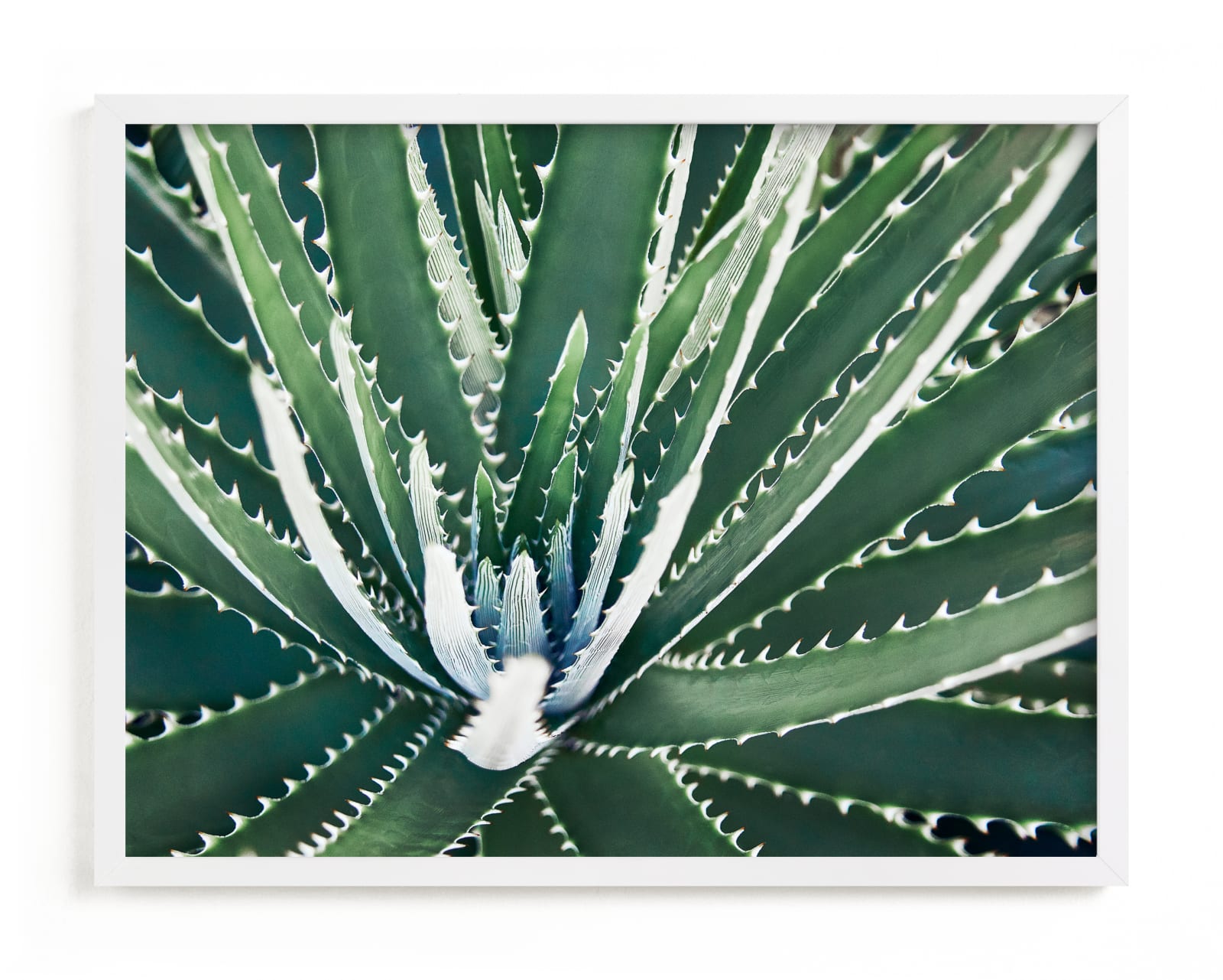 "Botanical VIIII" by Whitley Williams in beautiful frame options and a variety of sizes.