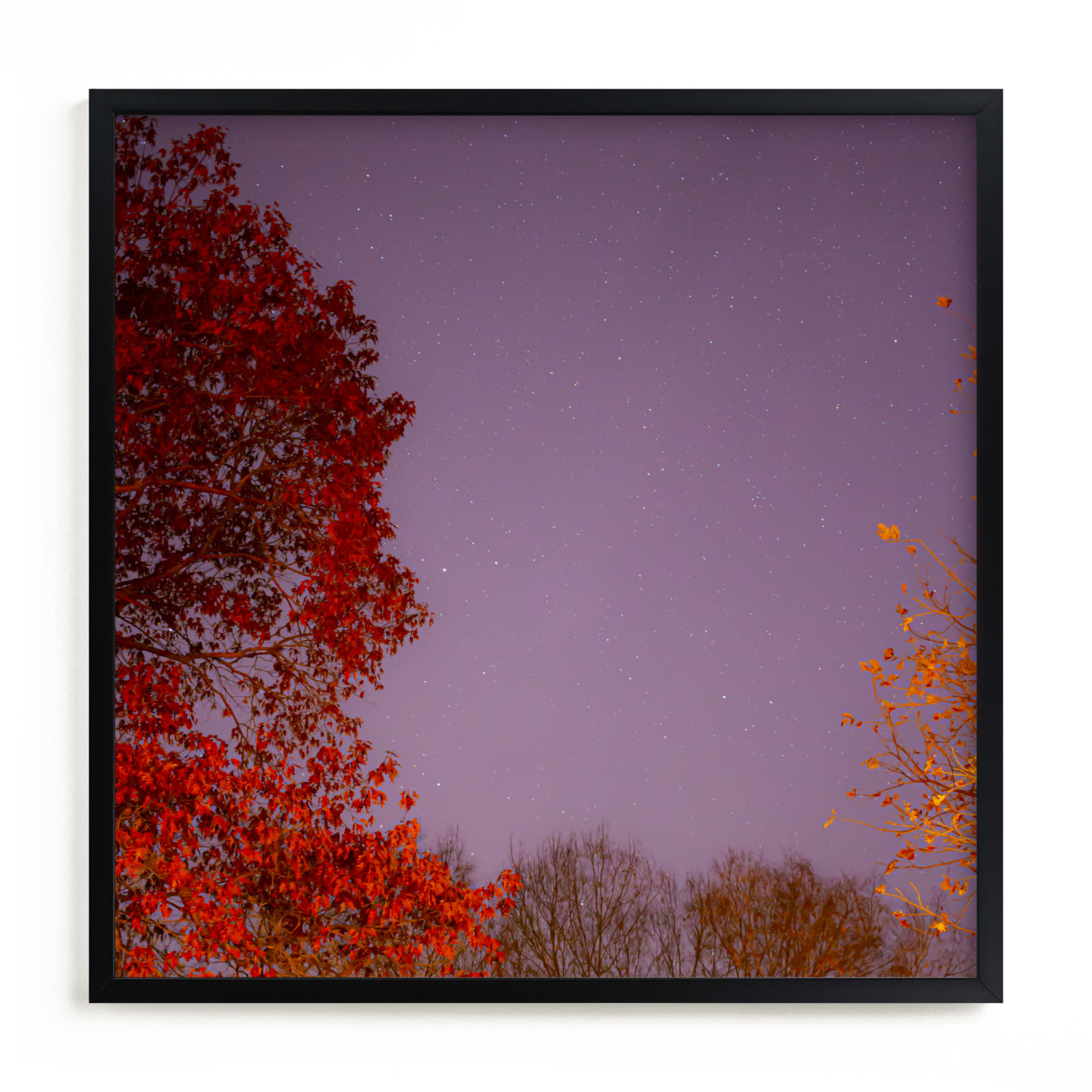 "Hot Stars" - Limited Edition Art Print by Jeff Preuss in beautiful frame options and a variety of sizes.