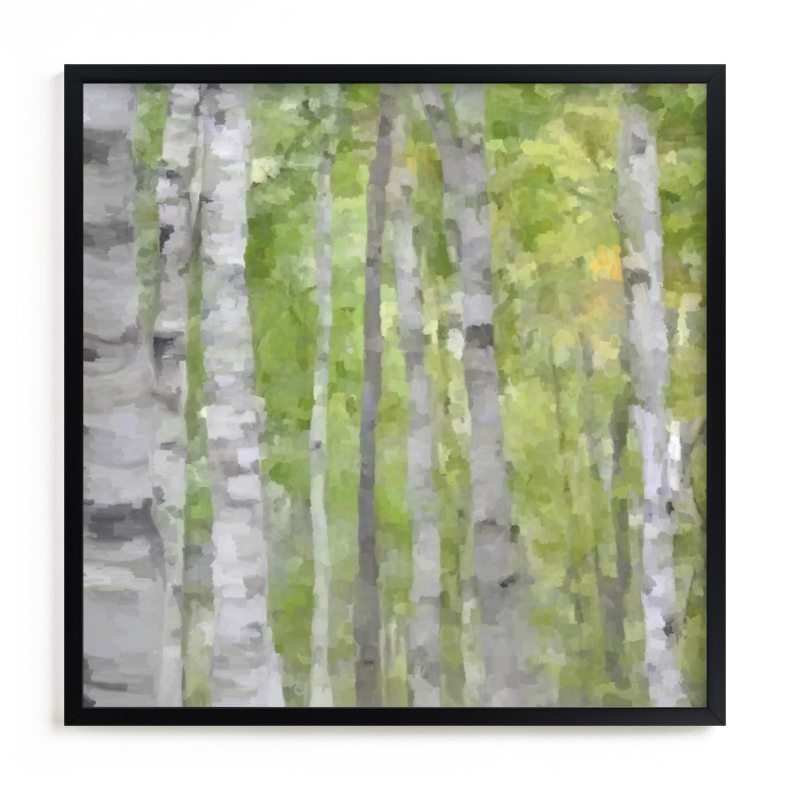 "Summer Birches" - Limited Edition Art Print by Amy Hall in beautiful frame options and a variety of sizes.