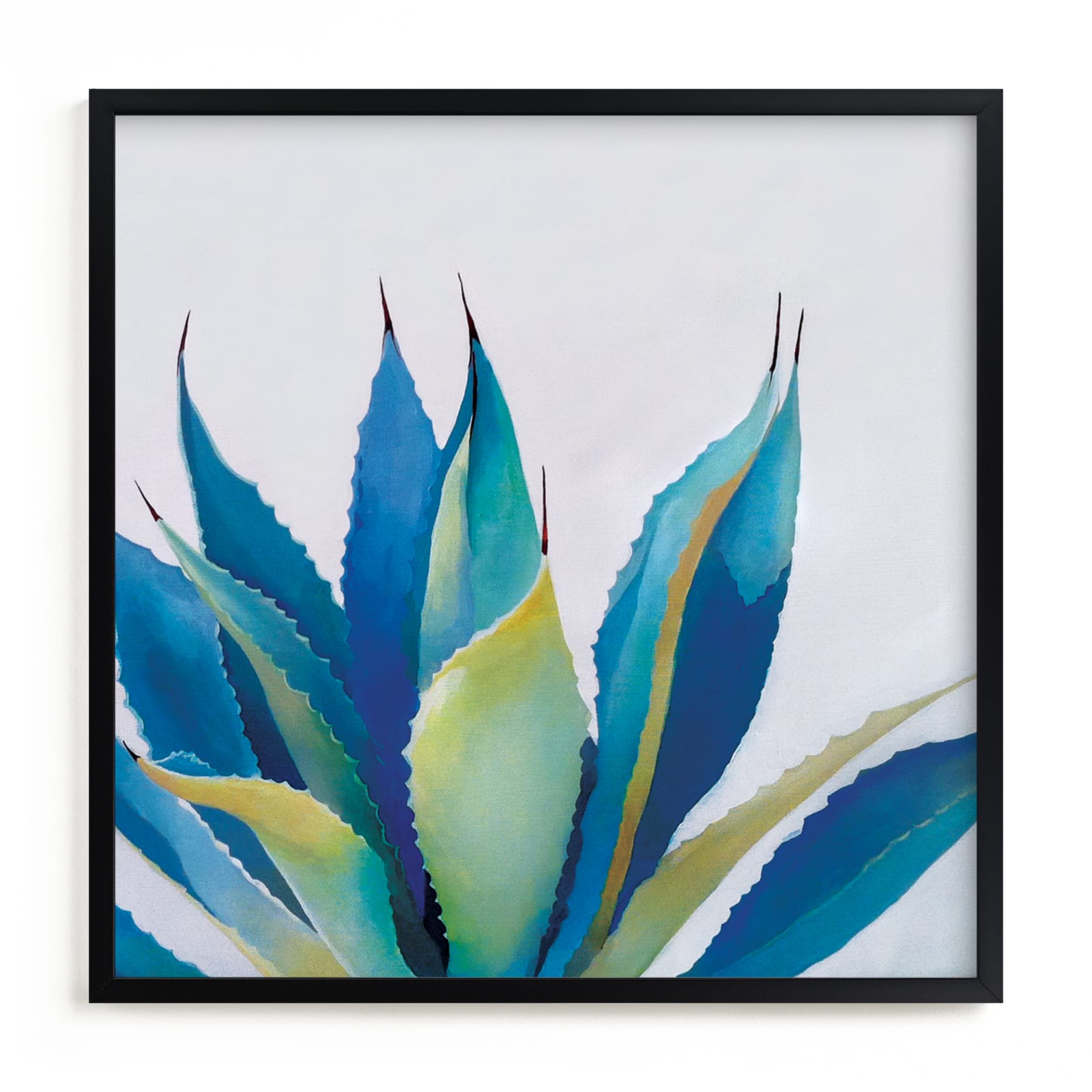 "Blue Agave" - Open Edition Fine Art Print by Amanda Phelps in beautiful frame options and a variety of sizes.