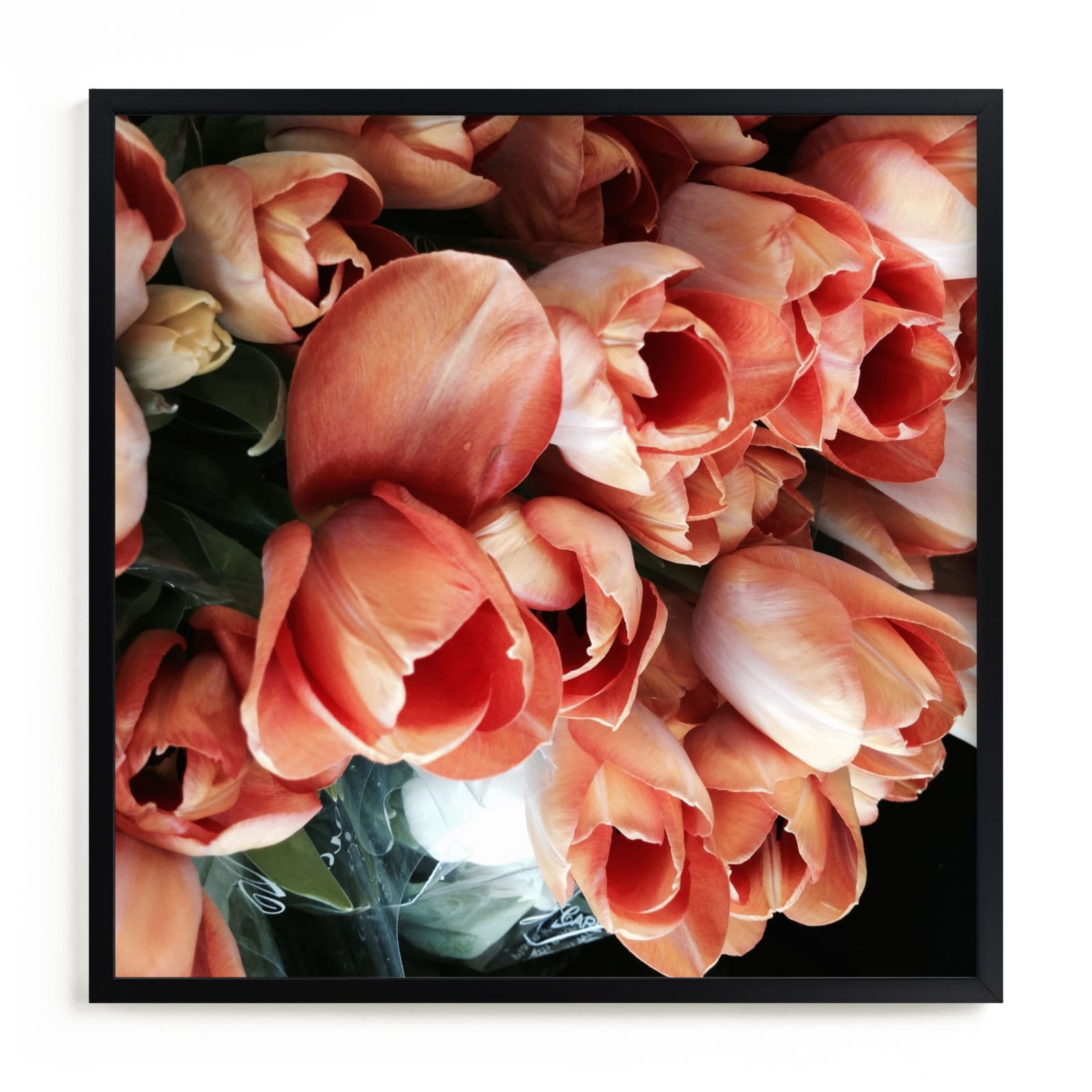 "Tulips Tulips Tulips" - Art Print by Jan Kessel in beautiful frame options and a variety of sizes.