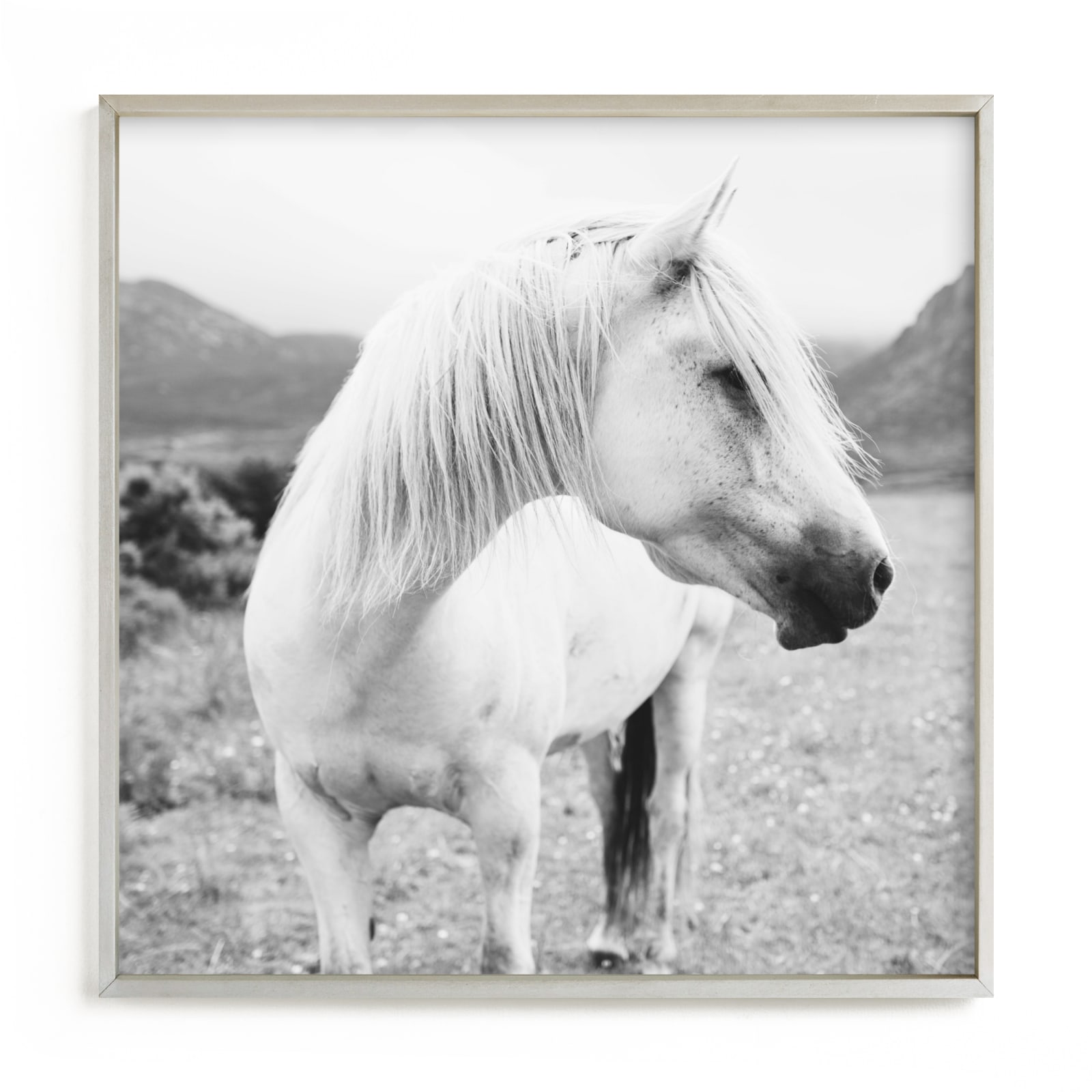 "Field Horse" - Grownup Open Edition Non-custom Art Print by Natalie Uprichard in beautiful frame options and a variety of sizes.