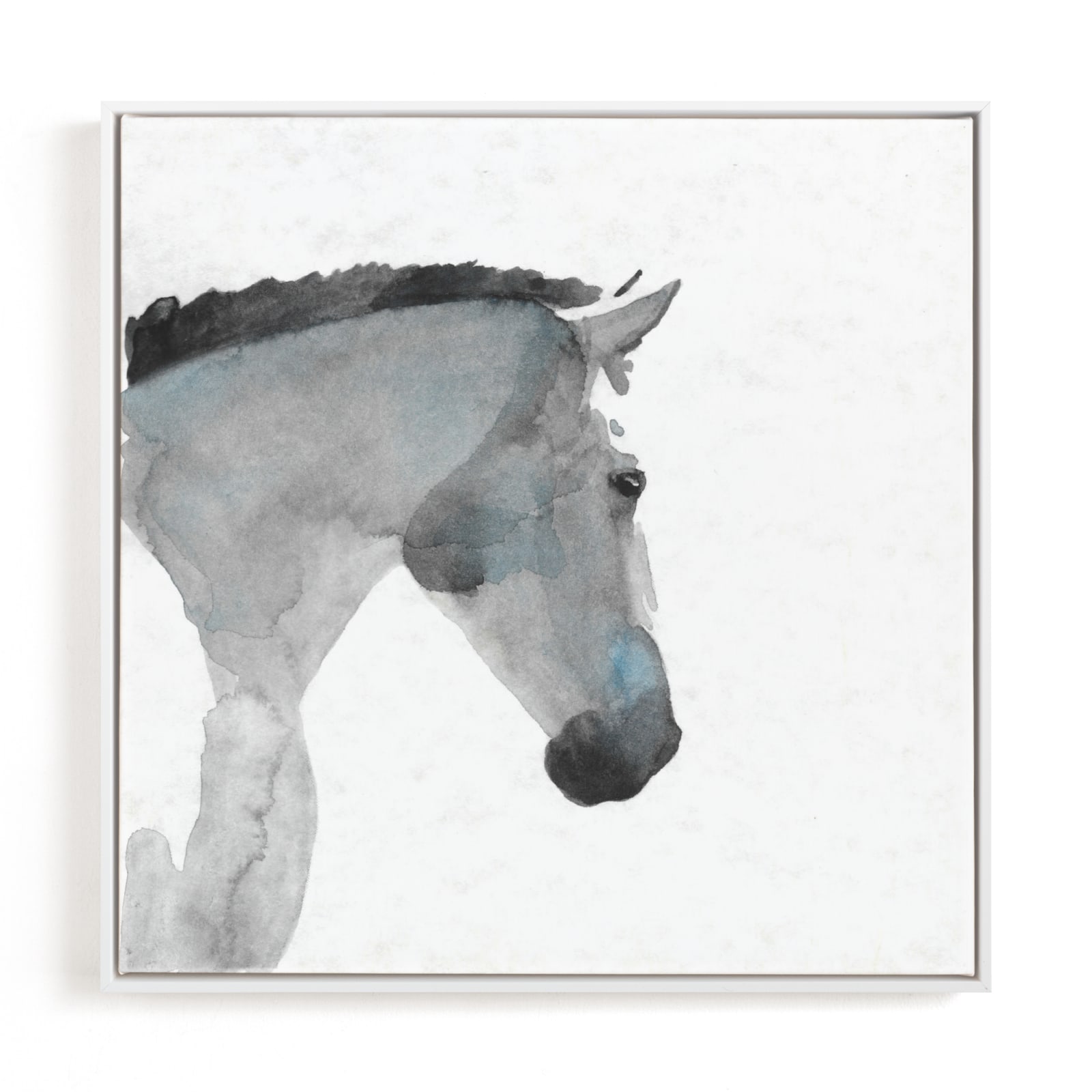 "White Stallion in Profile" - Limited Edition Art Print by Stephanie Toral in beautiful frame options and a variety of sizes.
