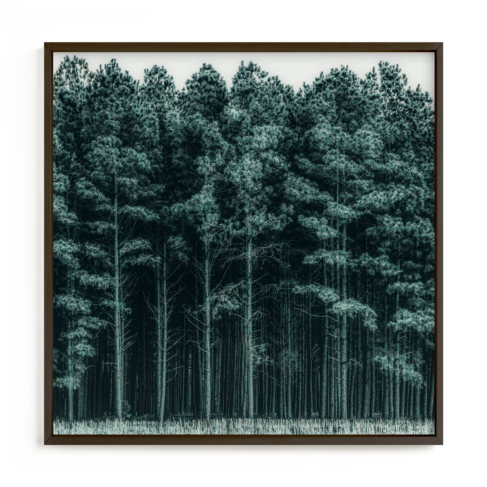 "Through the Trees" - Open Edition Fine Art Print by Keely Norton Owendoff in beautiful frame options and a variety of sizes.