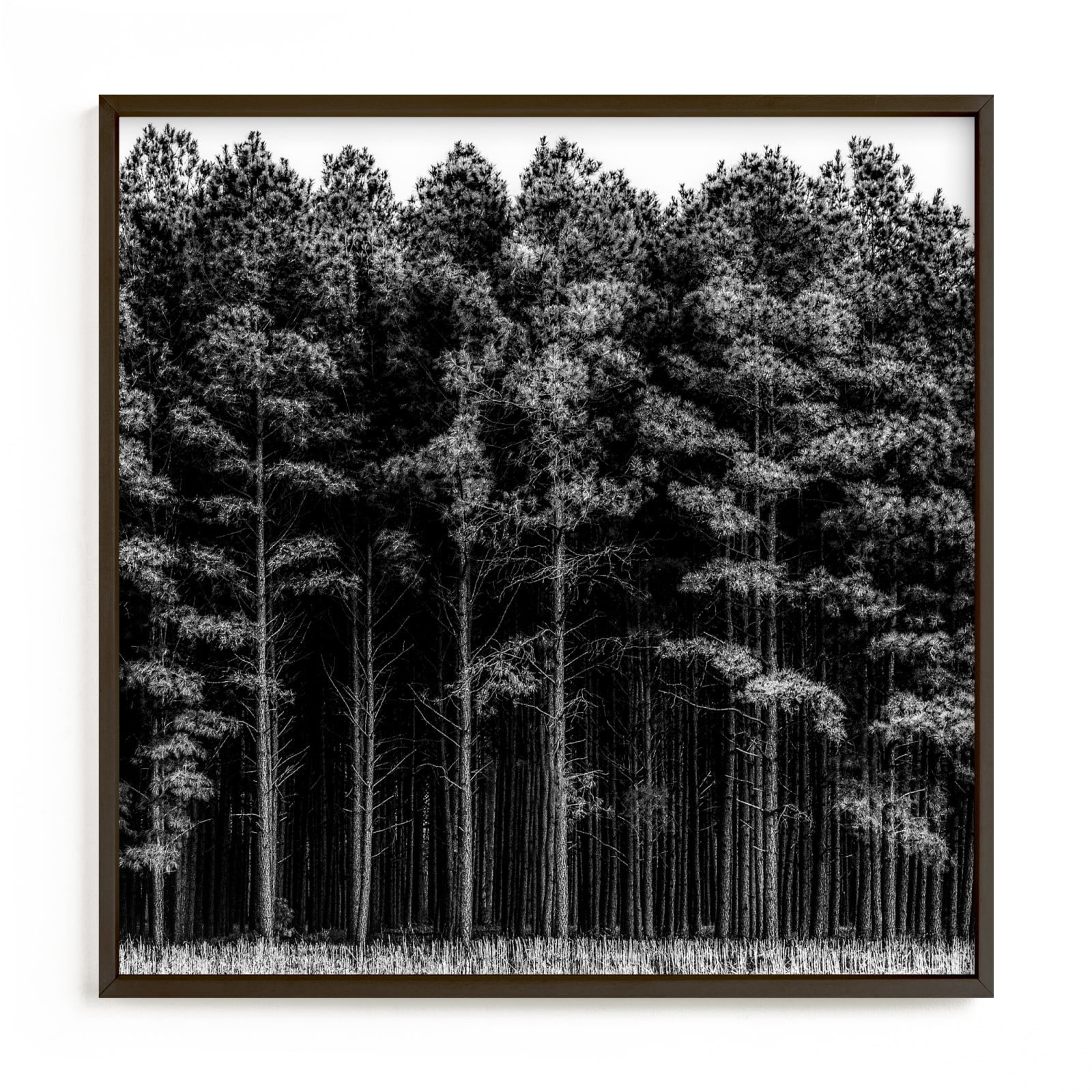 "Through the Trees" - Open Edition Fine Art Print by Keely Norton Owendoff in beautiful frame options and a variety of sizes.