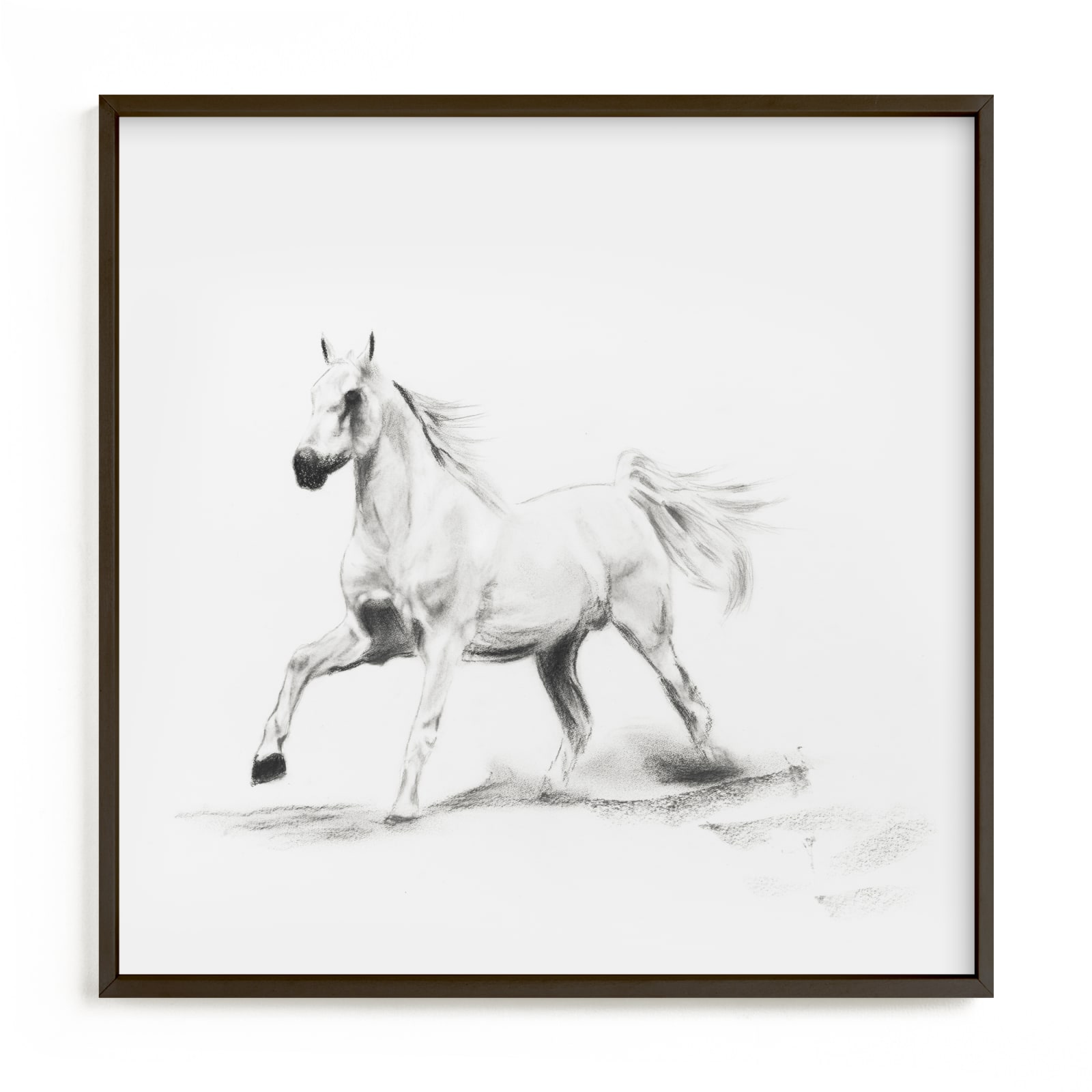 "Horse Study 3" - Art Print by Ramnik Velji in beautiful frame options and a variety of sizes.