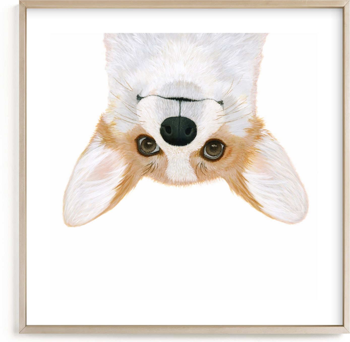 This is a black and white, grey, orange kids wall art by Deborah Chou called just being a corgi.