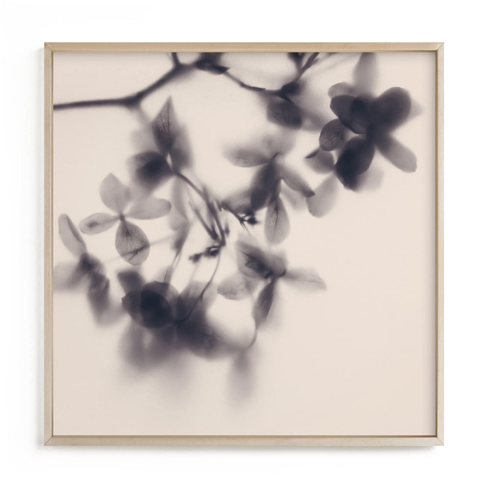 "Veiled Petals" - Limited Edition Art Print by Karen Kardatzke in beautiful frame options and a variety of sizes.