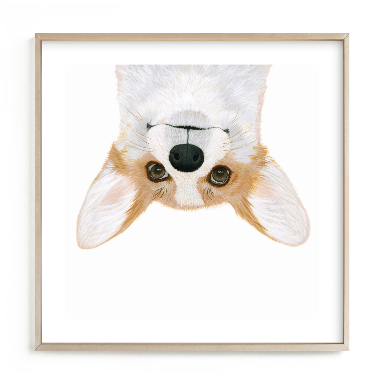 "just being a corgi" - Limited Edition Art Print by Deborah Chou in beautiful frame options and a variety of sizes.