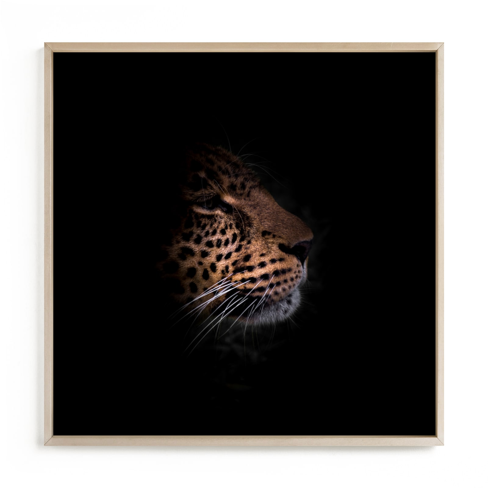 "Siri The Leopard" by David Michuki in beautiful frame options and a variety of sizes.