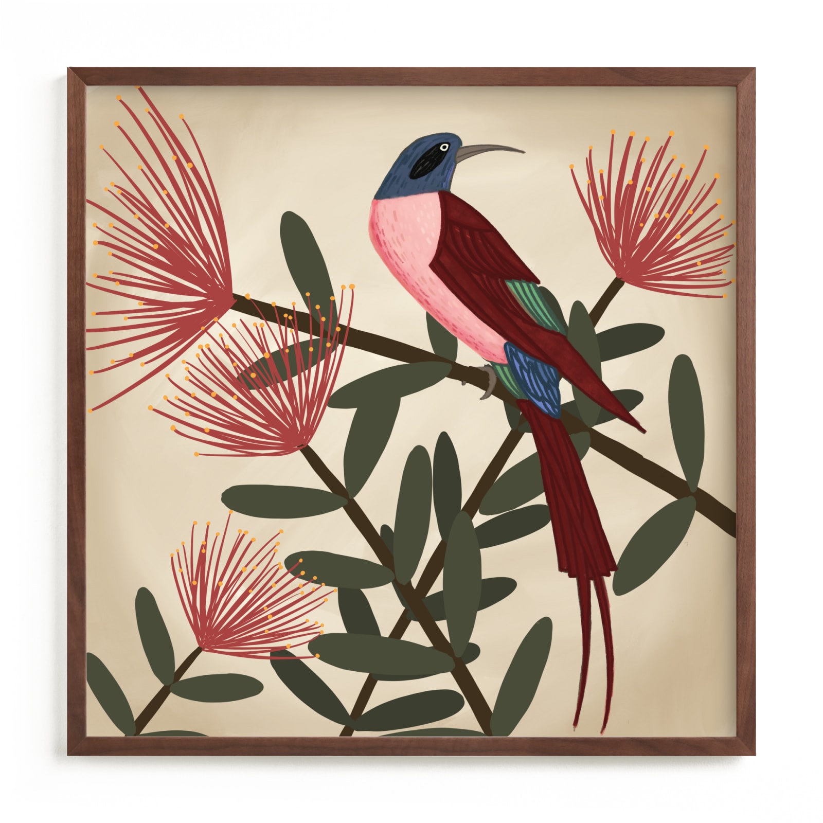 "Bee Eater" - Limited Edition Art Print by Jessie Burch in beautiful frame options and a variety of sizes.