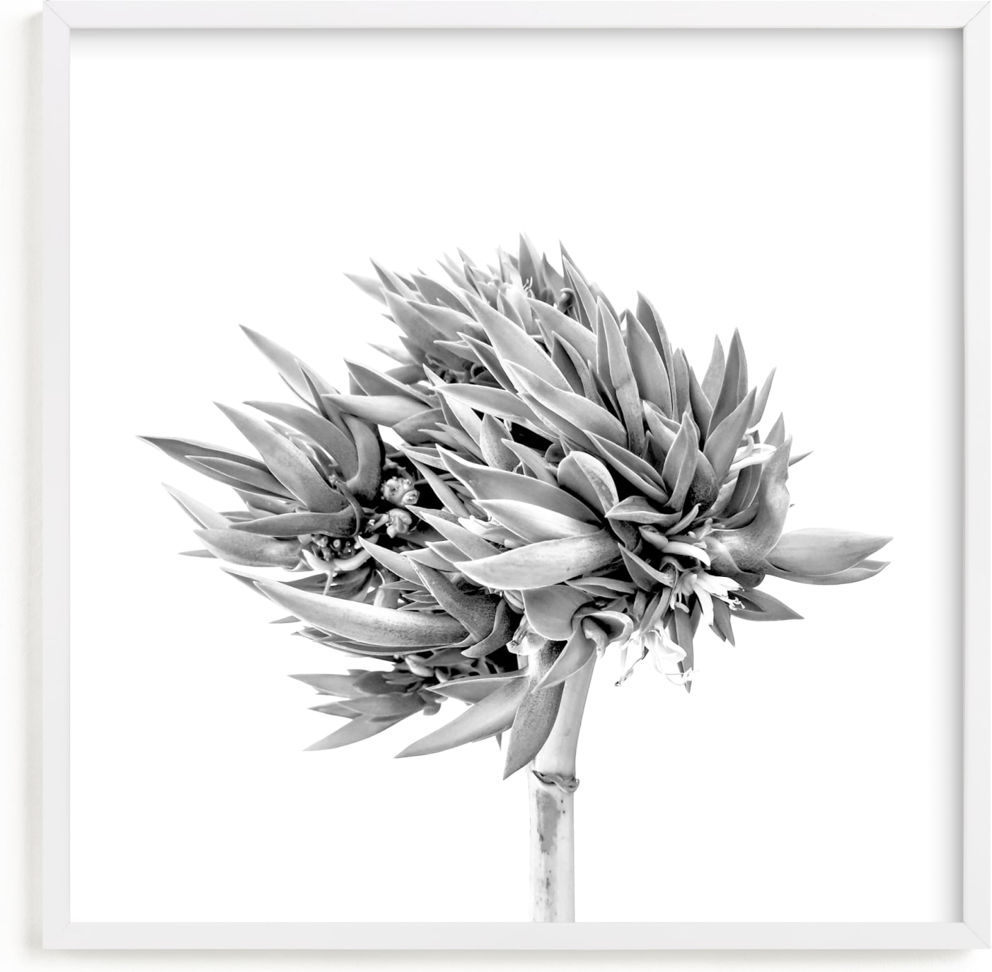 This is a black and white art by Lisa Sundin called Abode 2.