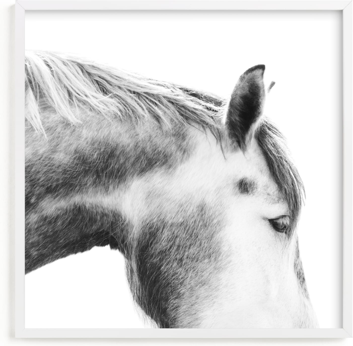 This is a white kids wall art by Jessica C Nugent called Grey Horse.