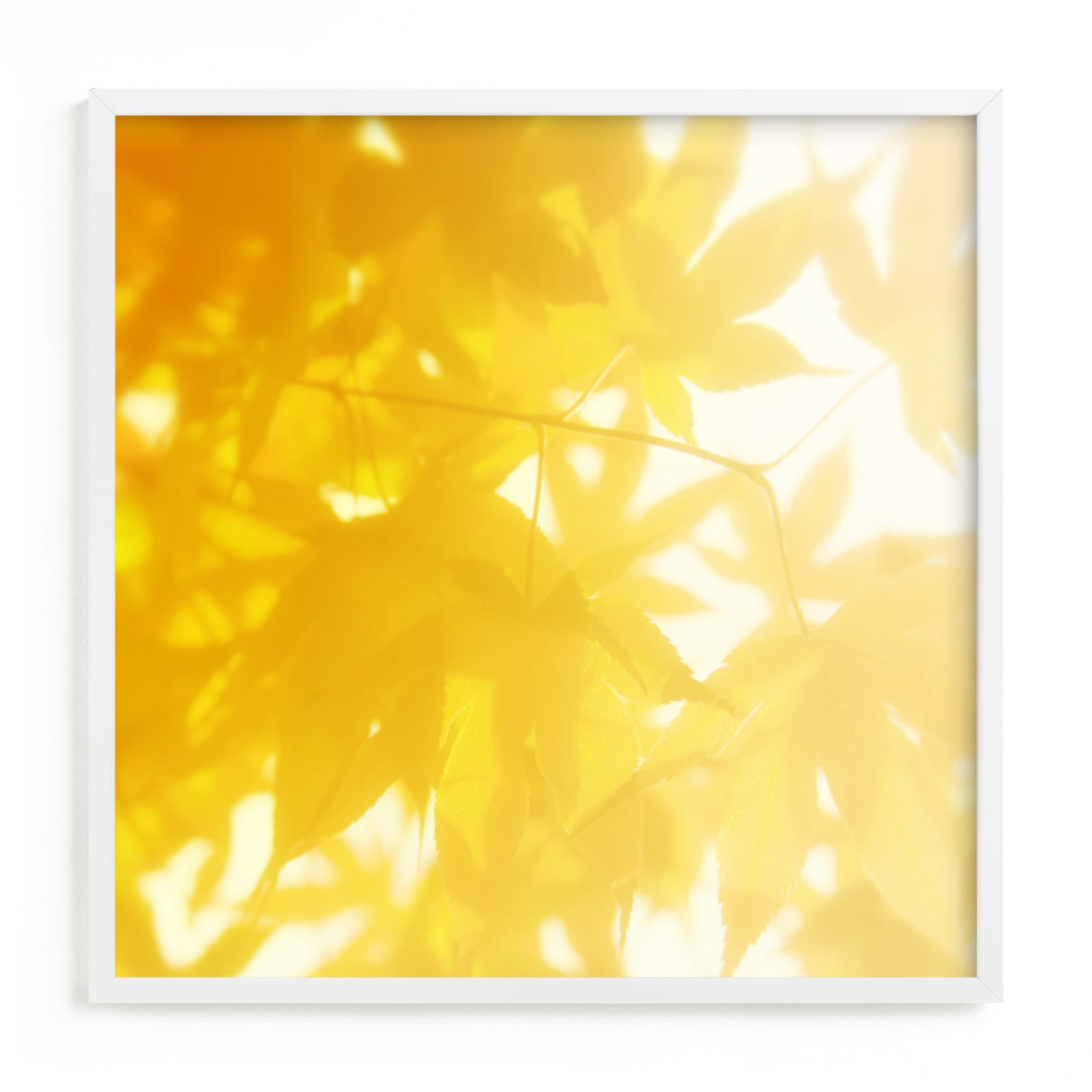 "sun bathing leaves" - Limited Edition Art Print by Amy Chapman Braun in beautiful frame options and a variety of sizes.