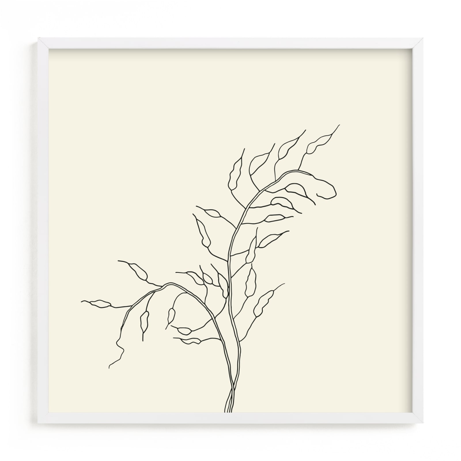 "Wild Radish" - Limited Edition Art Print by Jorey Hurley in beautiful frame options and a variety of sizes.