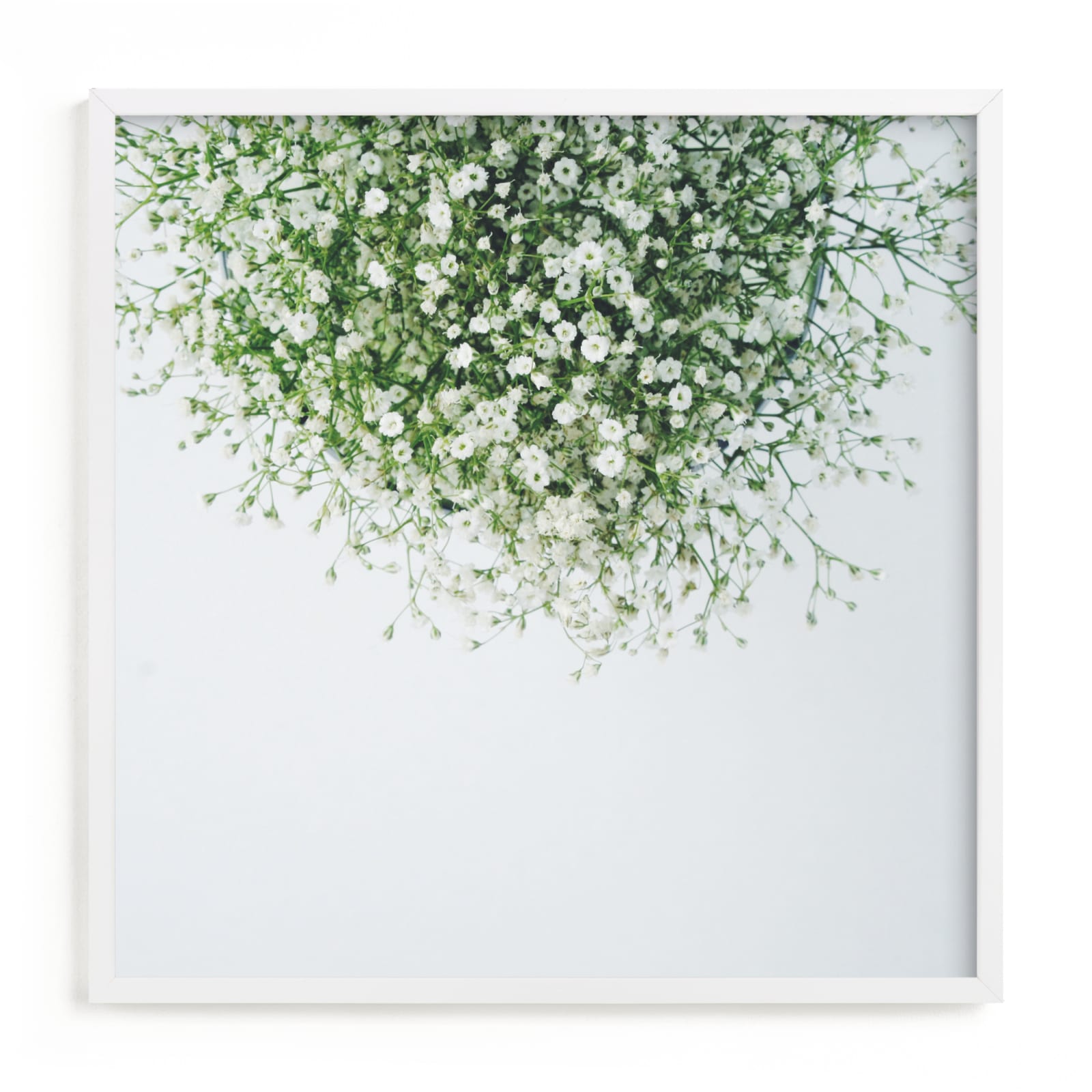"Gypsophila" - Limited Edition Art Print by Marabou Design in beautiful frame options and a variety of sizes.