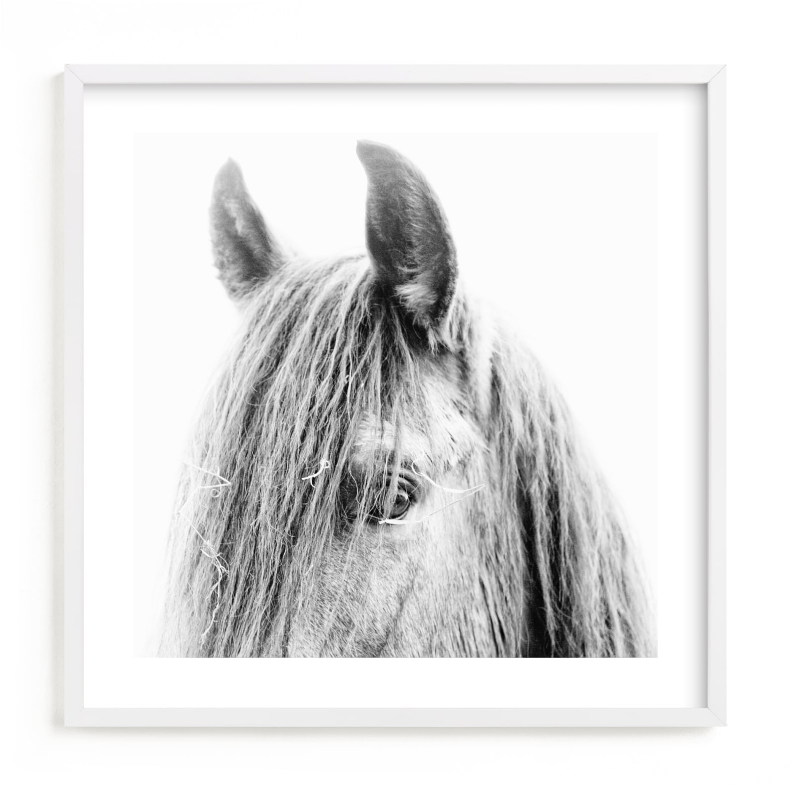 "sundance" by Robin Ott in beautiful frame options and a variety of sizes.