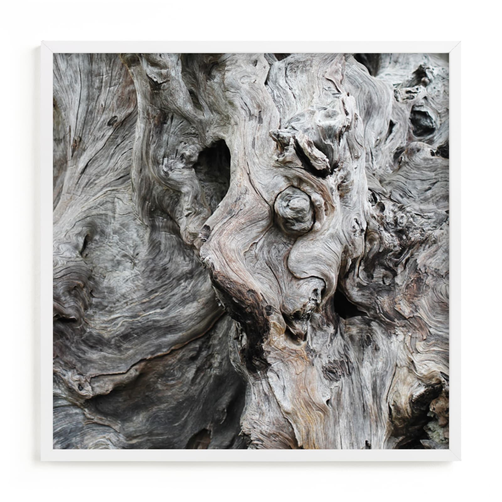 "Driftwood" - Art Print by Jayna B in beautiful frame options and a variety of sizes.