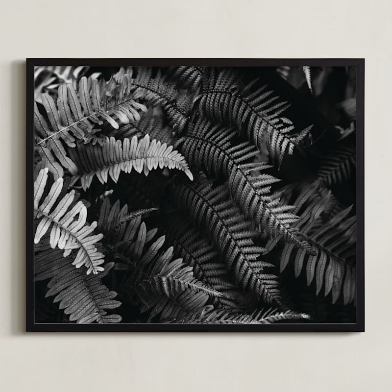 "Ferns" - Limited Edition Art Print by Eliane Lamb in beautiful frame options and a variety of sizes.