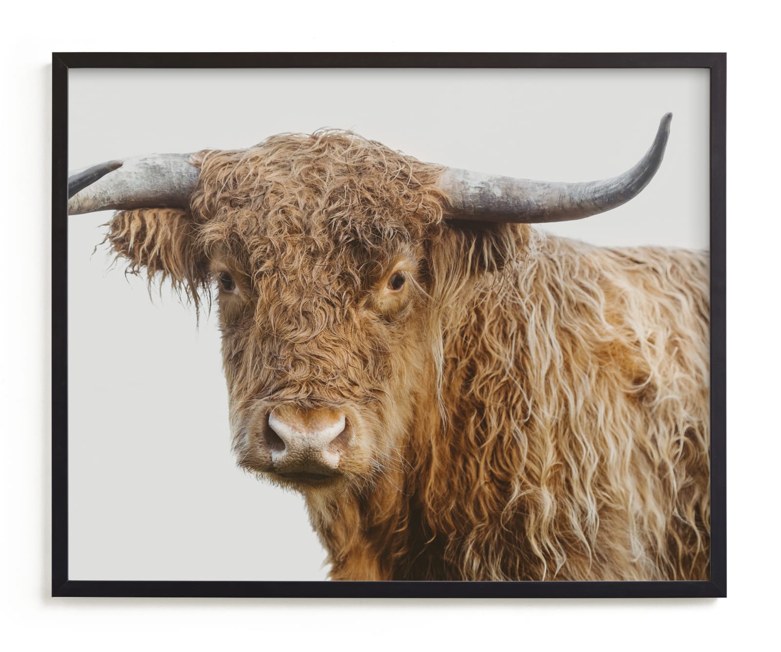 "Carl" - Limited Edition Art Print by Jennifer Morrow in beautiful frame options and a variety of sizes.