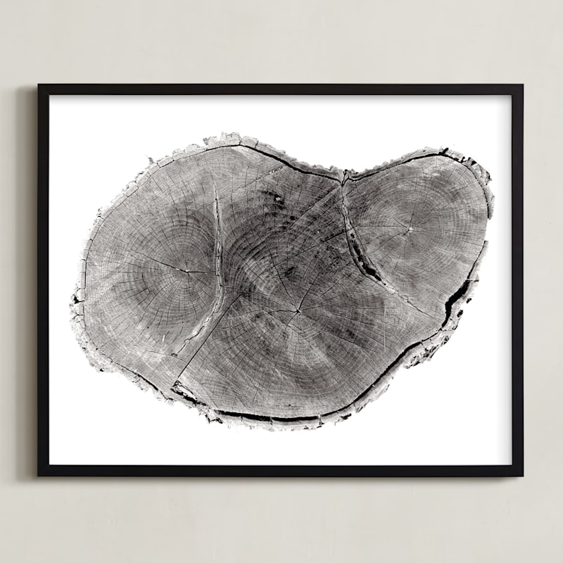 "Tree Rings pt. 1" - Limited Edition Art Print by Mackenzie Darrach in beautiful frame options and a variety of sizes.