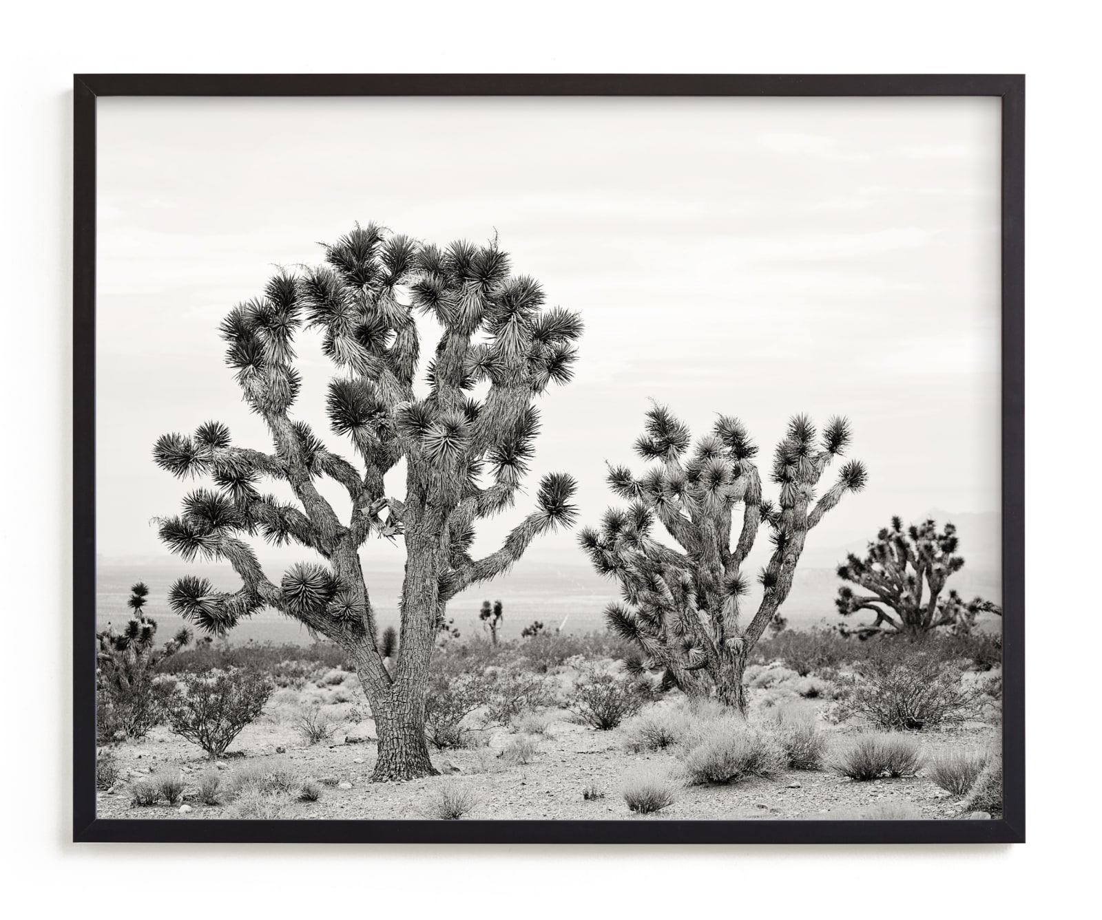 "Joshua Tree" - Limited Edition Art Print by Kristi Jackson in beautiful frame options and a variety of sizes.