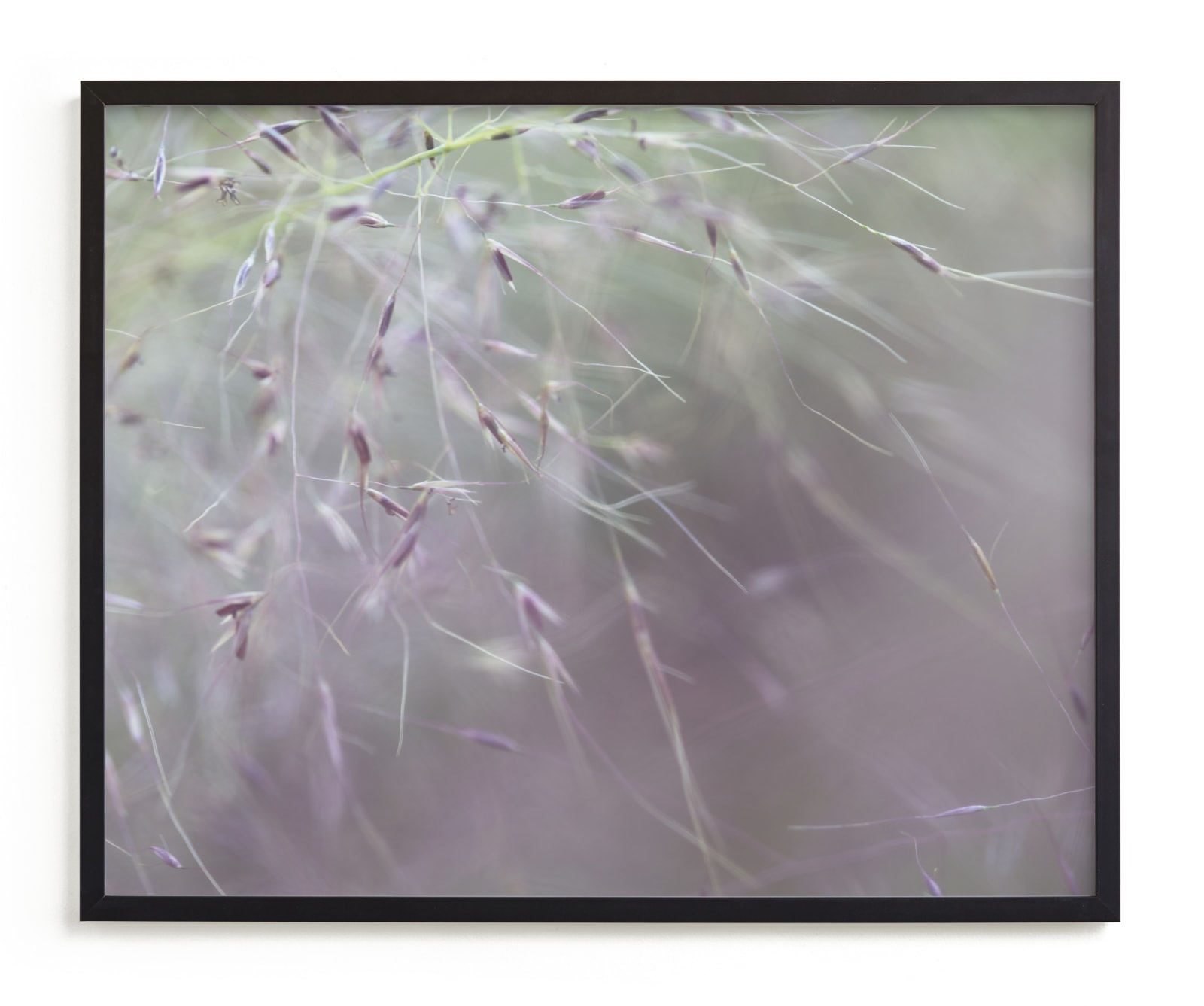 "Natures Pink Spray" by Carol Schiraldi in beautiful frame options and a variety of sizes.