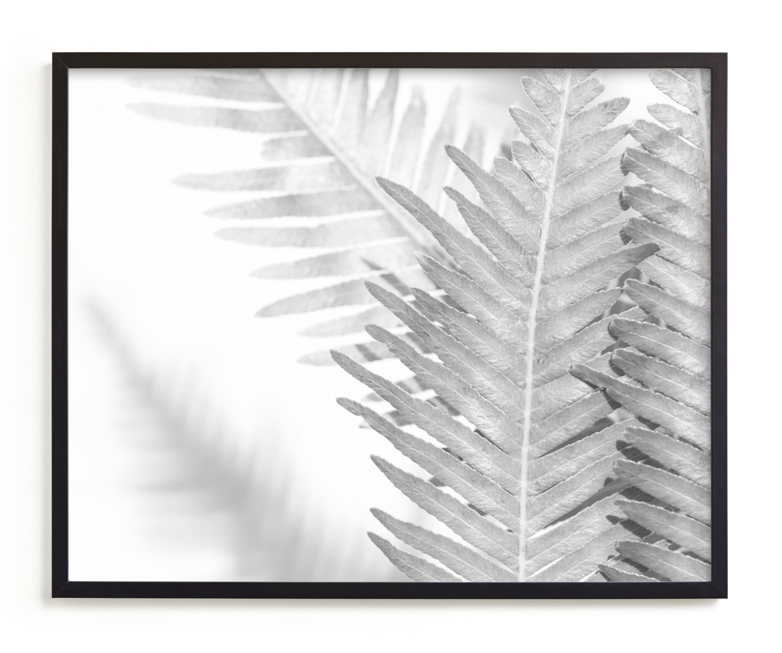 "Fern Gully" by Laura Hamm in beautiful frame options and a variety of sizes.