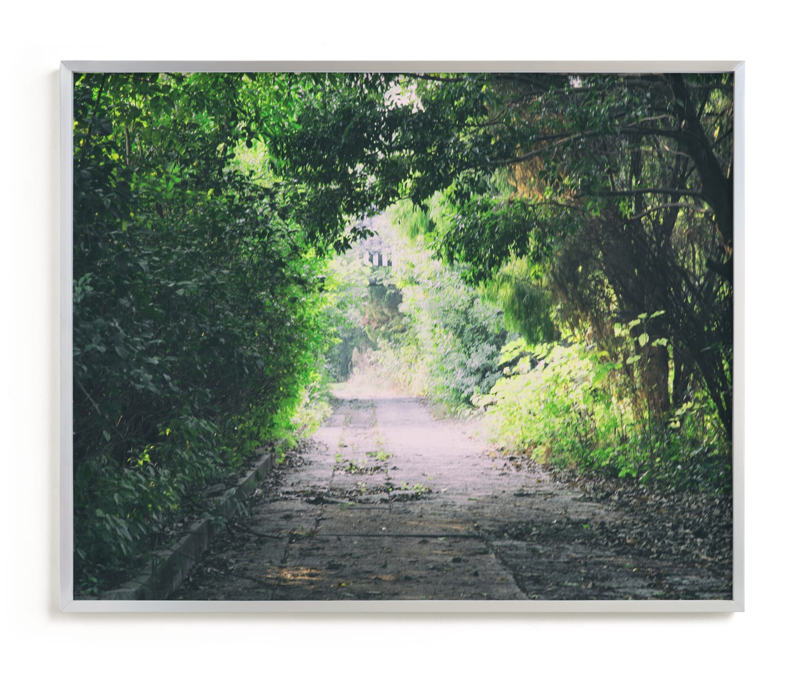 "Pathway" - Limited Edition Art Print by Carol Schiraldi in beautiful frame options and a variety of sizes.
