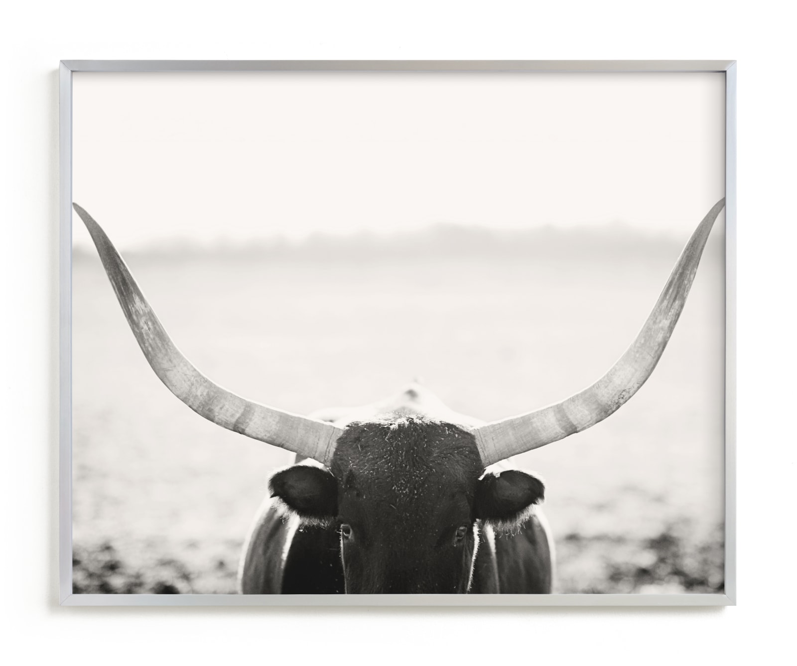 "Staredown" - Limited Edition Art Print by Amy Carroll in beautiful frame options and a variety of sizes.